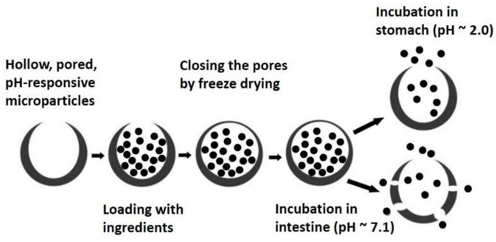 Pharmaceutics 11 00129 g004