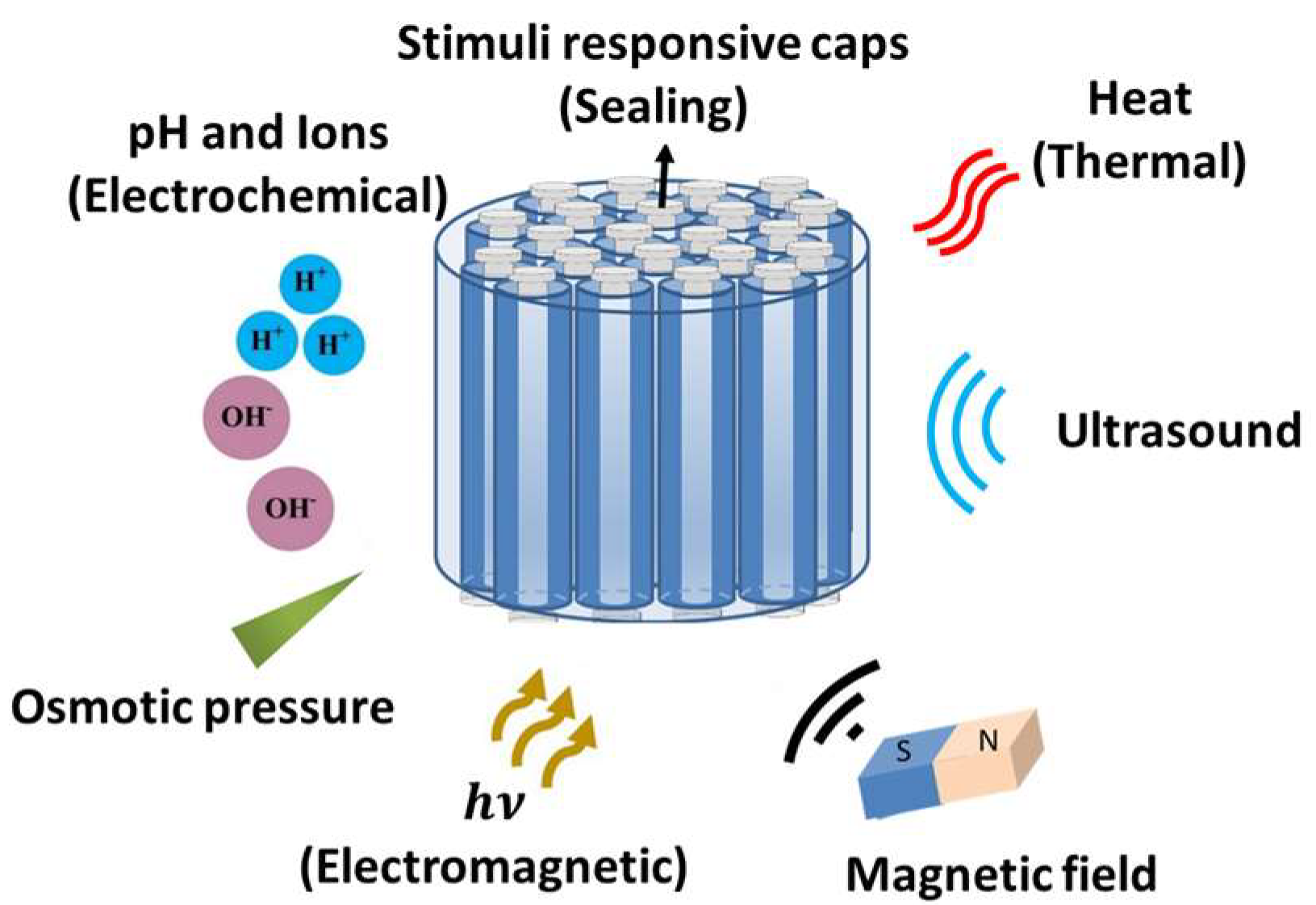 Pharmaceutics 11 00129 g006