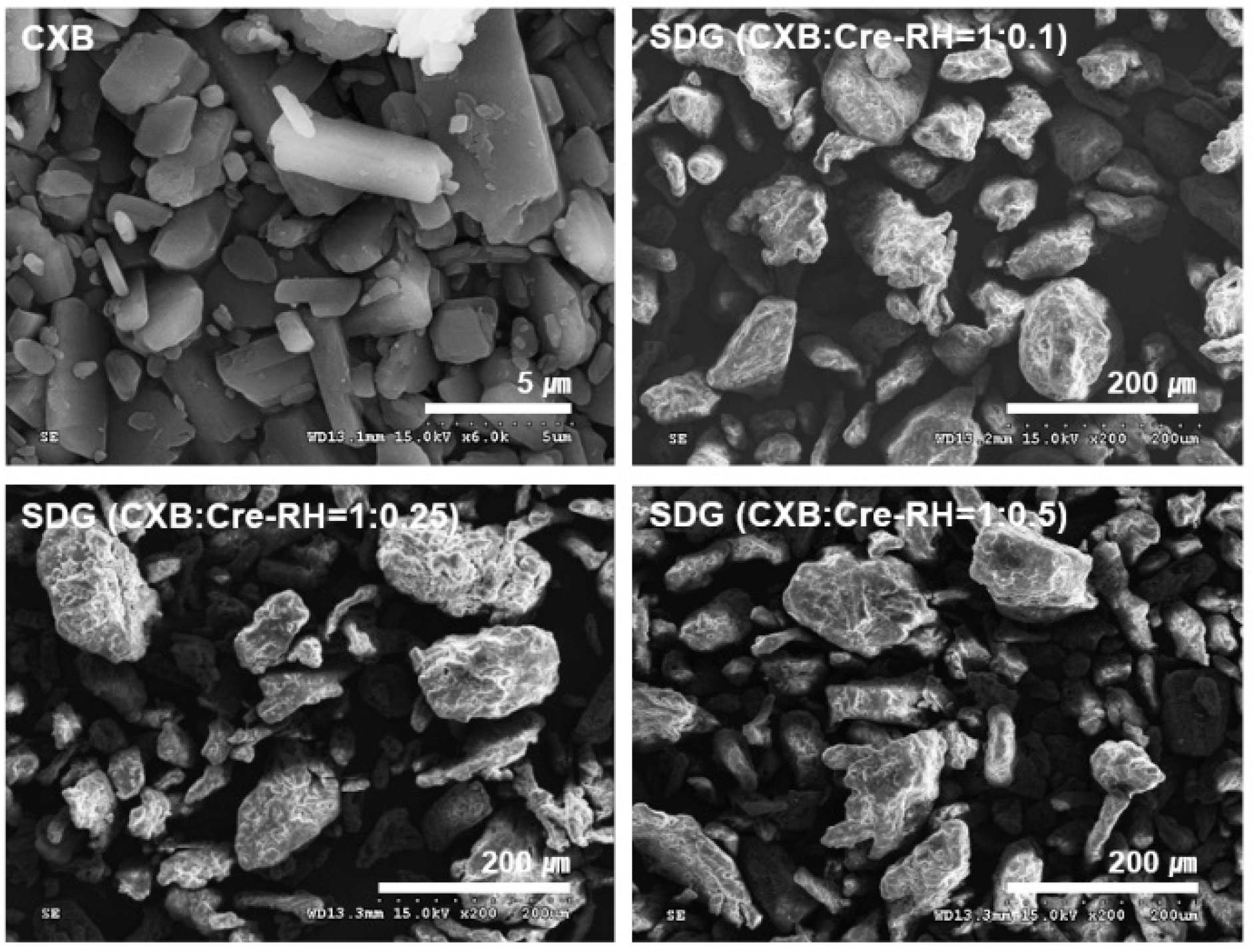 Pharmaceutics 11 00136 g001 Pharmaceutics 11 00136 g001