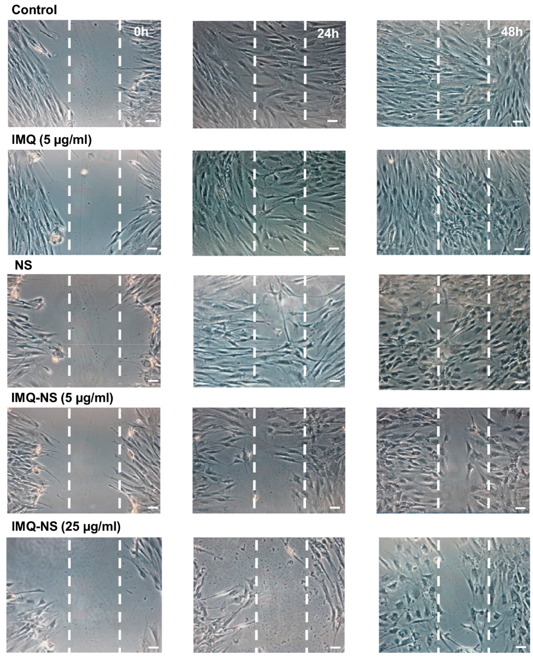 Pharmaceutics 11 00138 g008