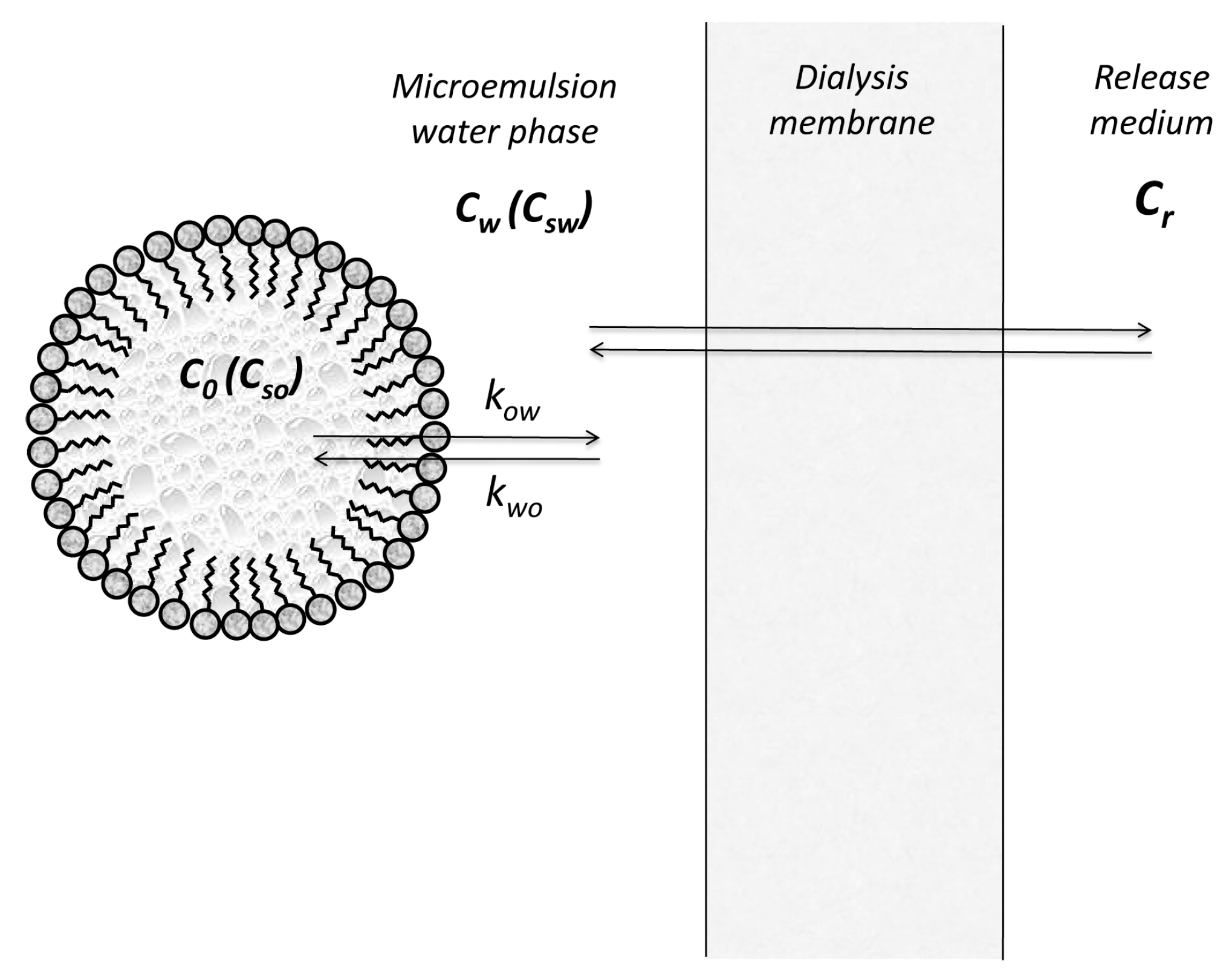 Pharmaceutics 11 00140 g002 550