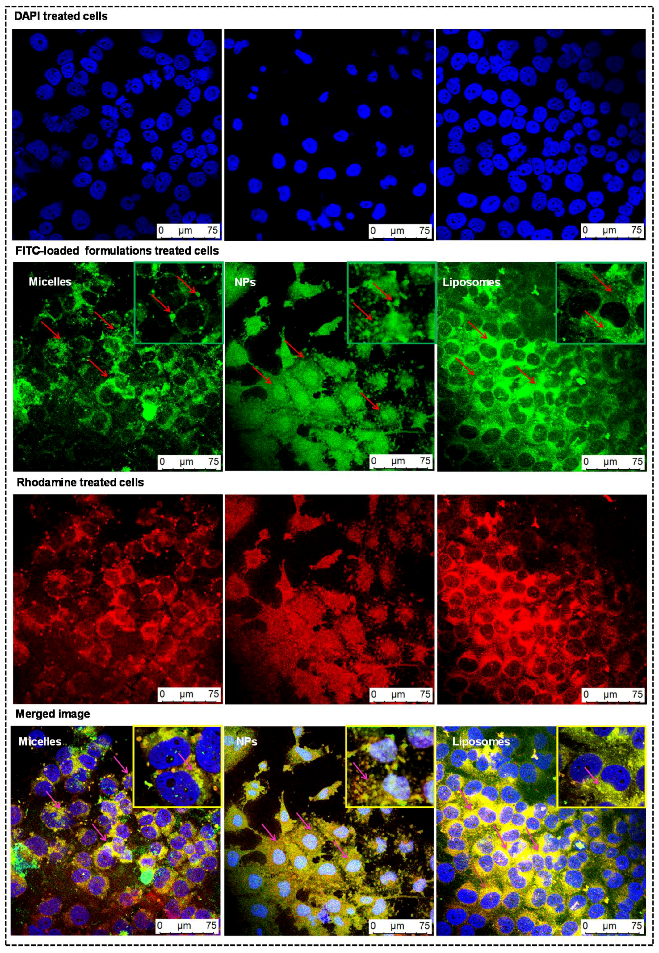 Pharmaceutics 11 00141 g005 Pharmaceutics 11 00141 g005