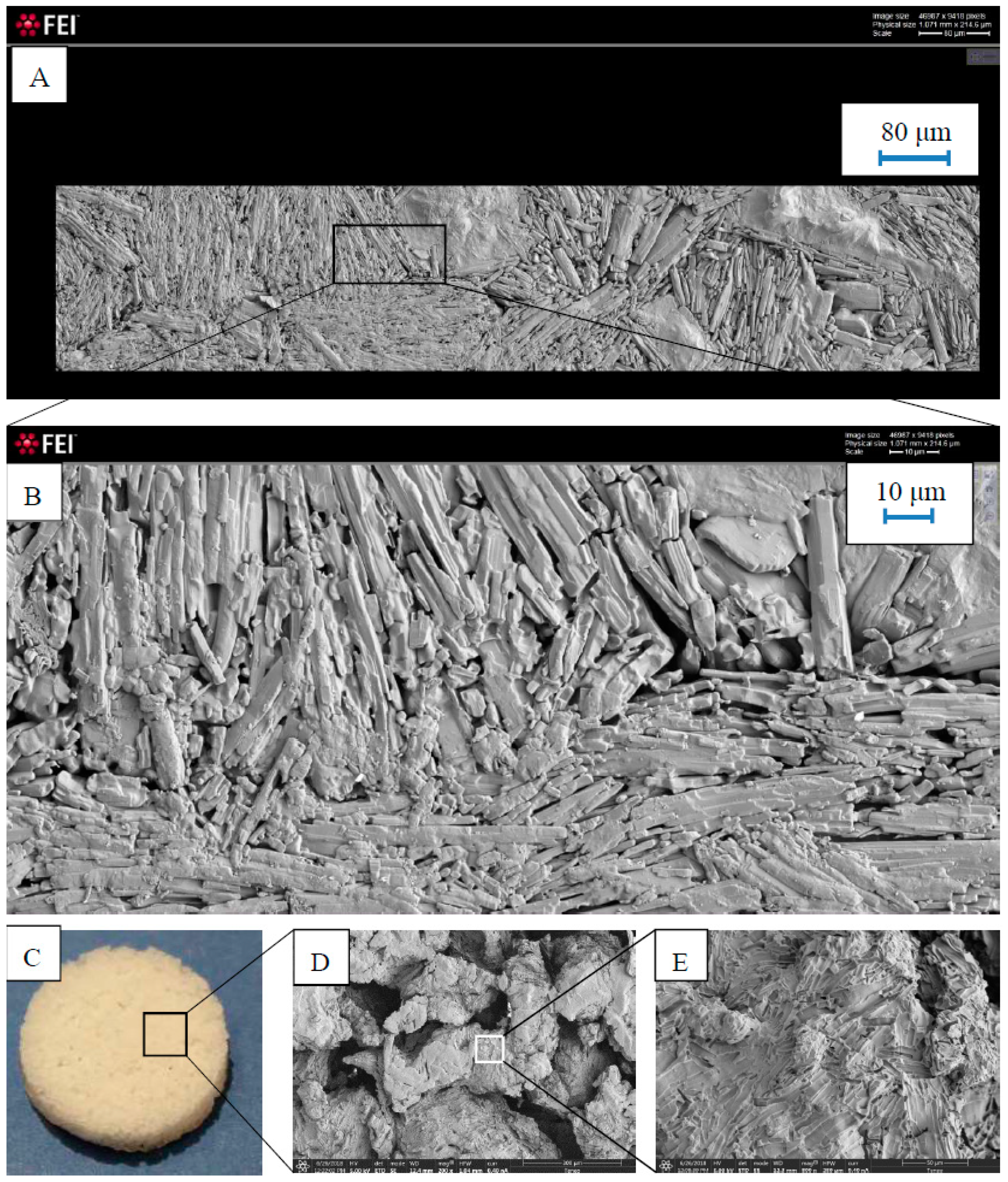 Pharmaceutics 11 00157 g005 Pharmaceutics 11 00157 g005