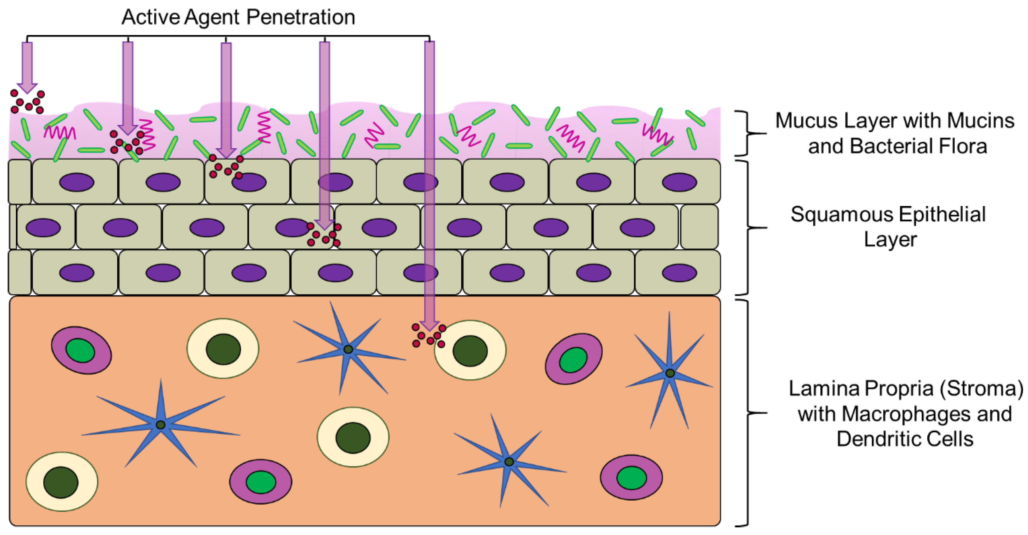 Pharmaceutics 11 00160 g001 Pharmaceutics 11 00160 g001