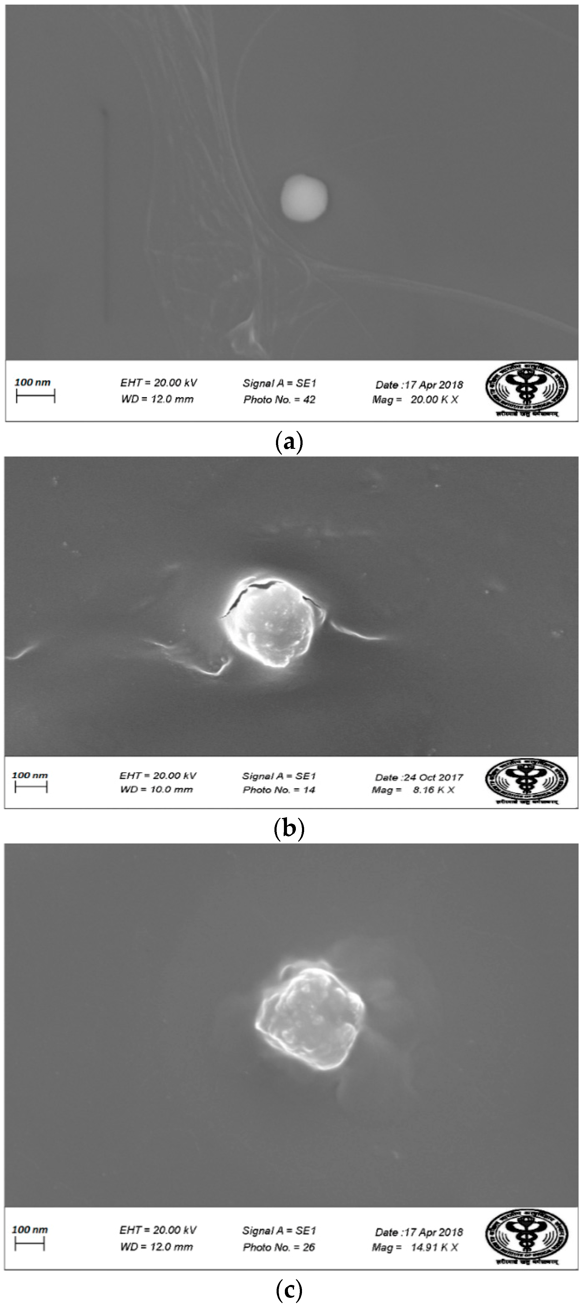Pharmaceutics 11 00163 g009 550