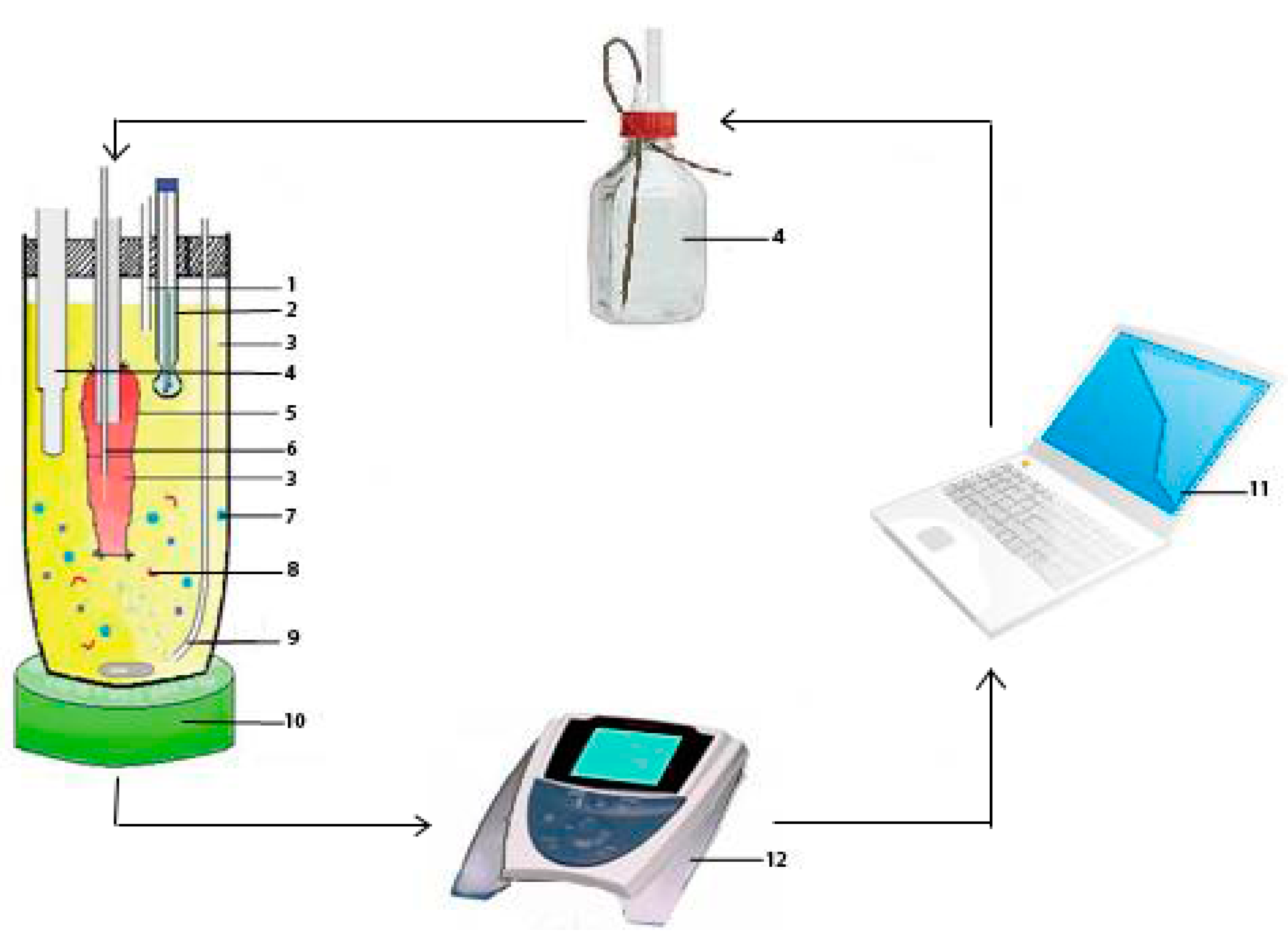 Pharmaceutics 11 00164 g001