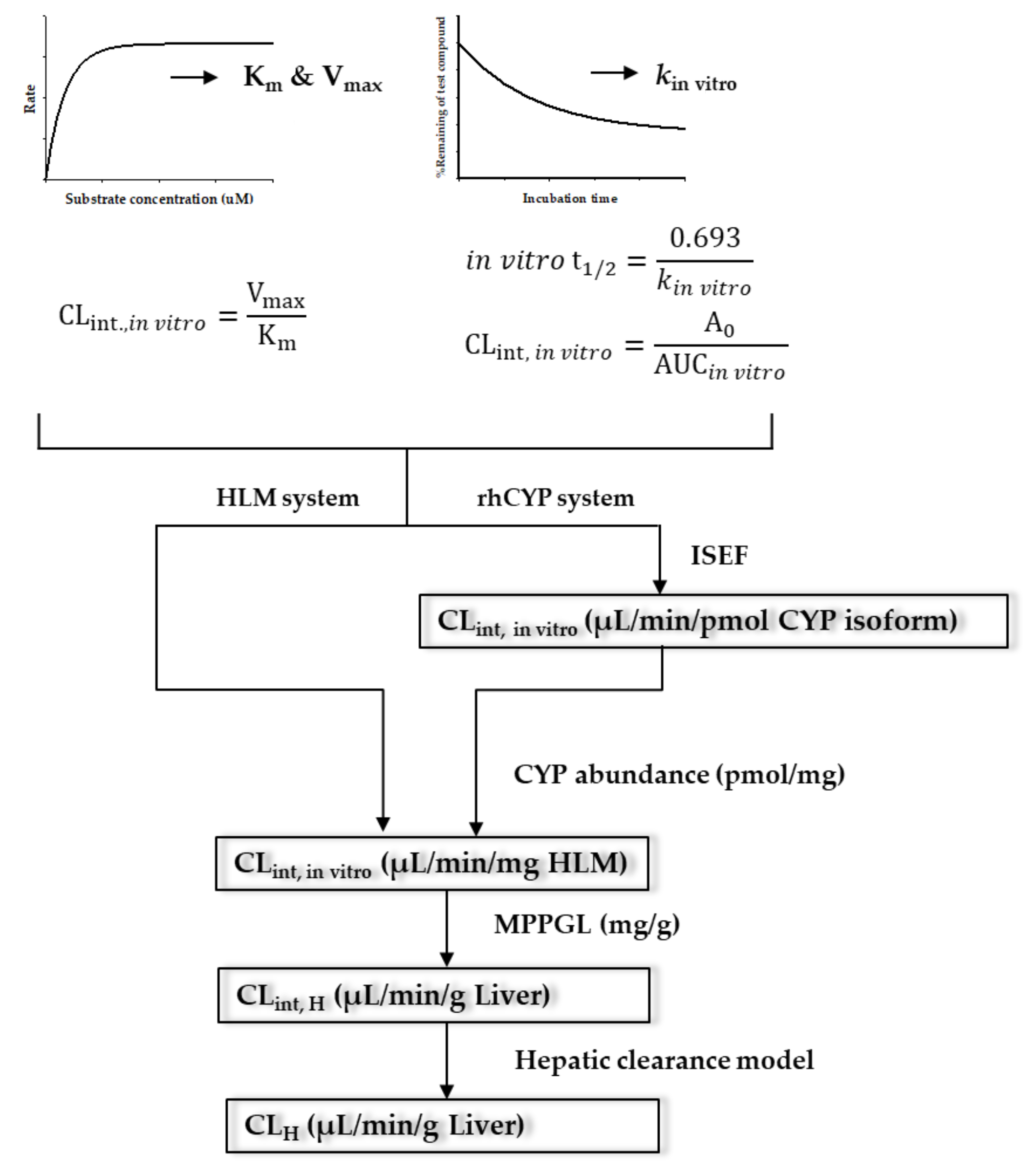 Pharmaceutics 11 00168 g002