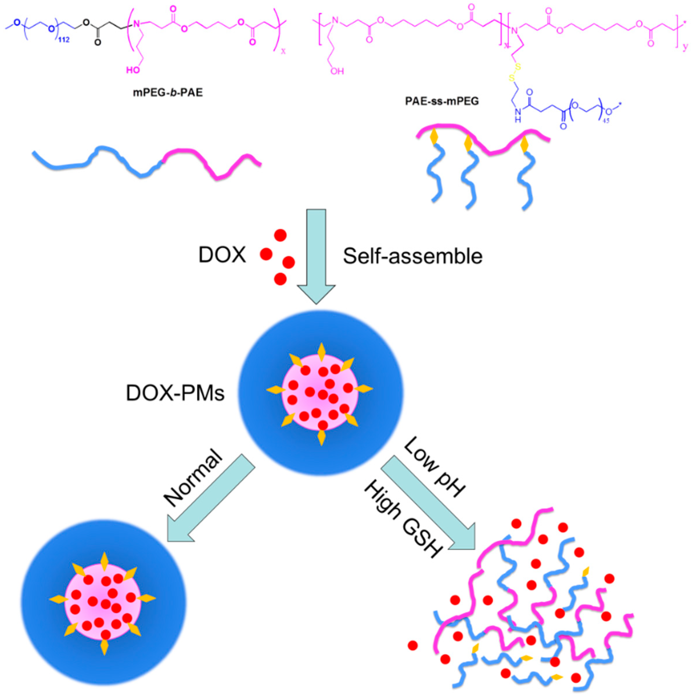 Pharmaceutics 11 00176 g001