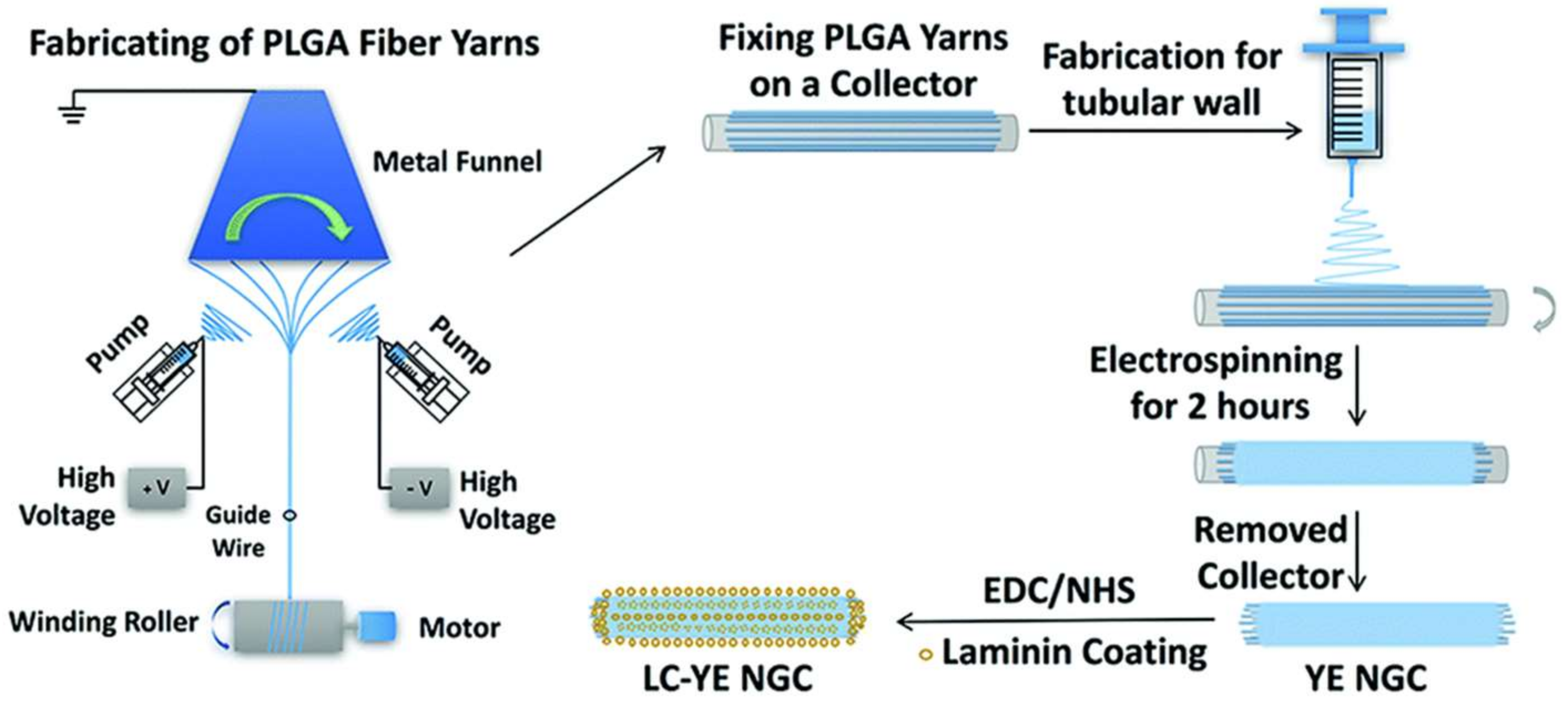 Pharmaceutics 11 00182 g002