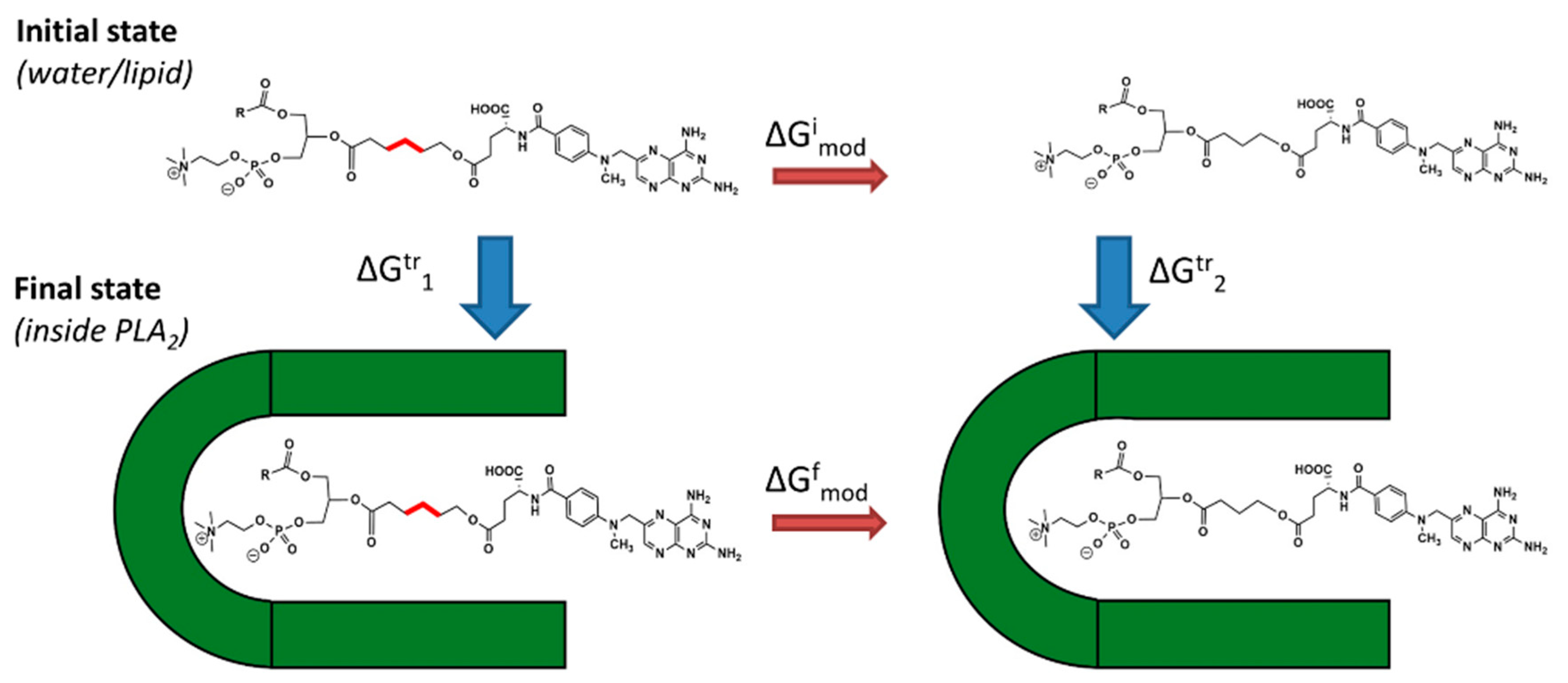 Pharmaceutics 11 00186 g002