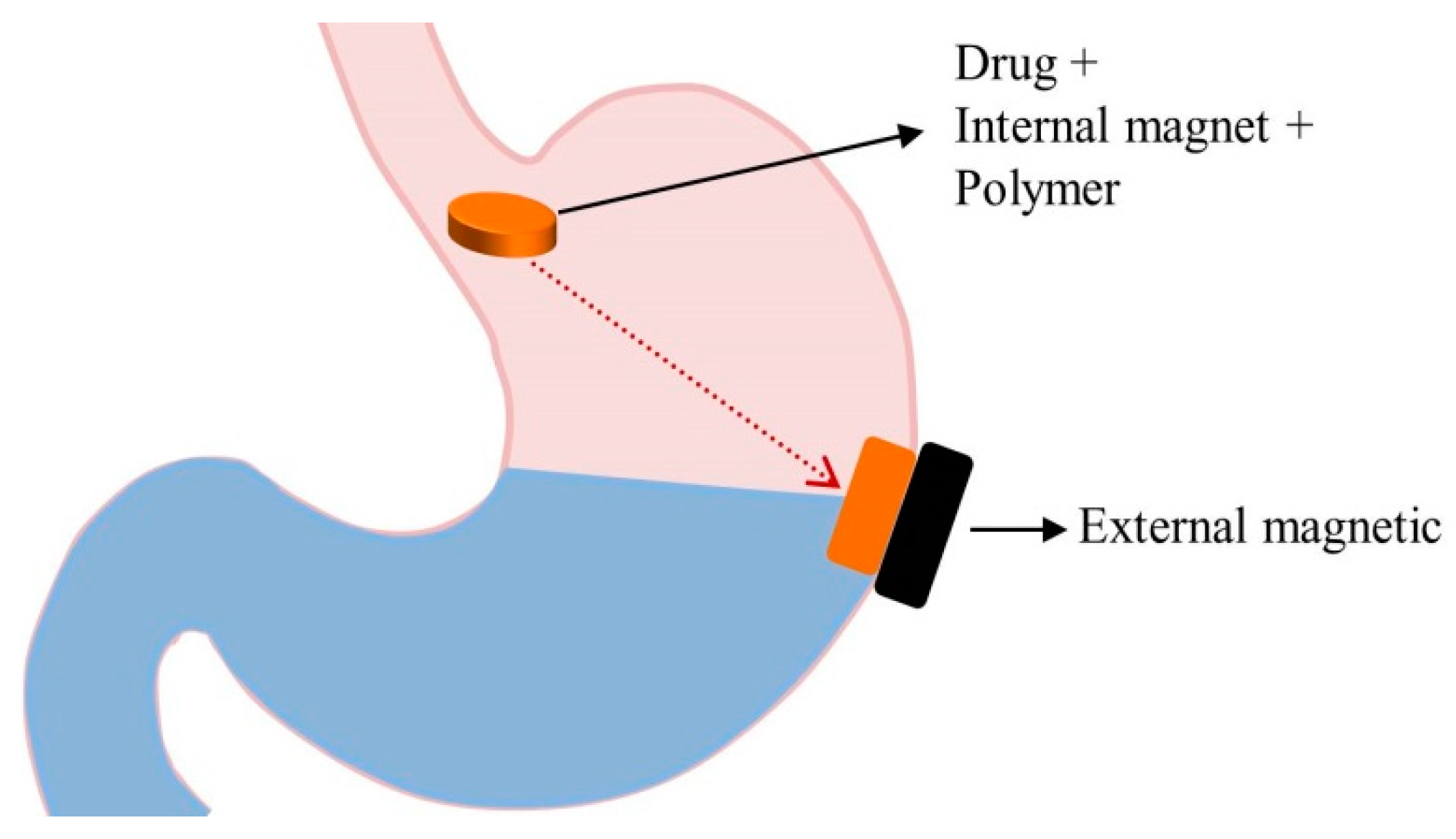 Pharmaceutics 11 00193 g006