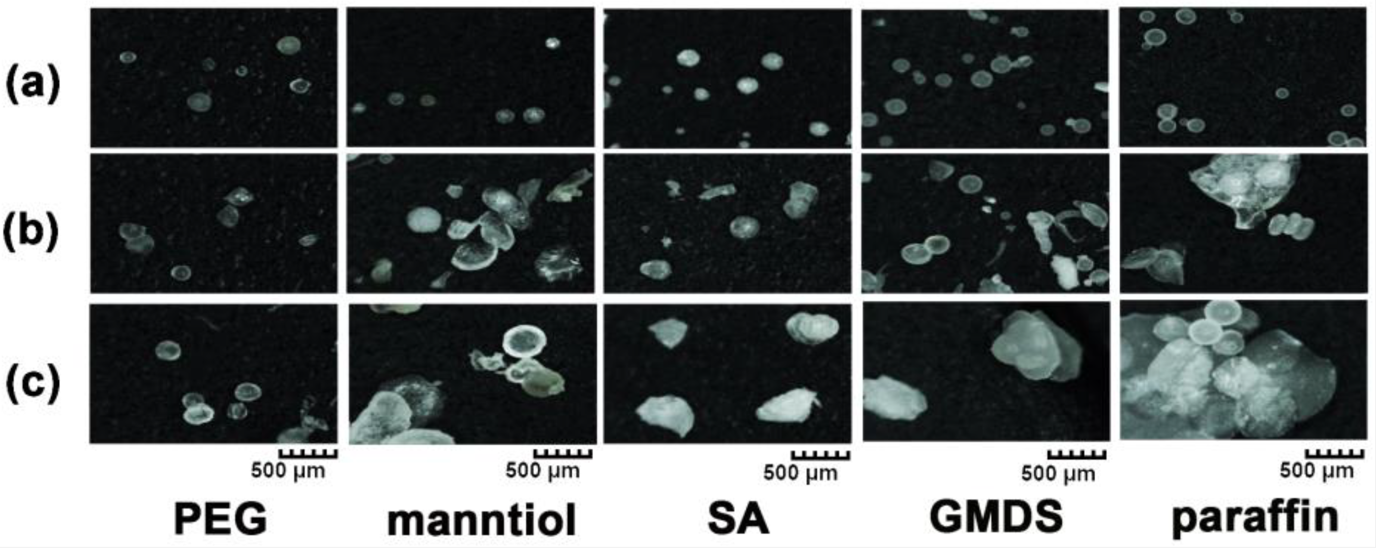 Pharmaceutics 11 00198 g006
