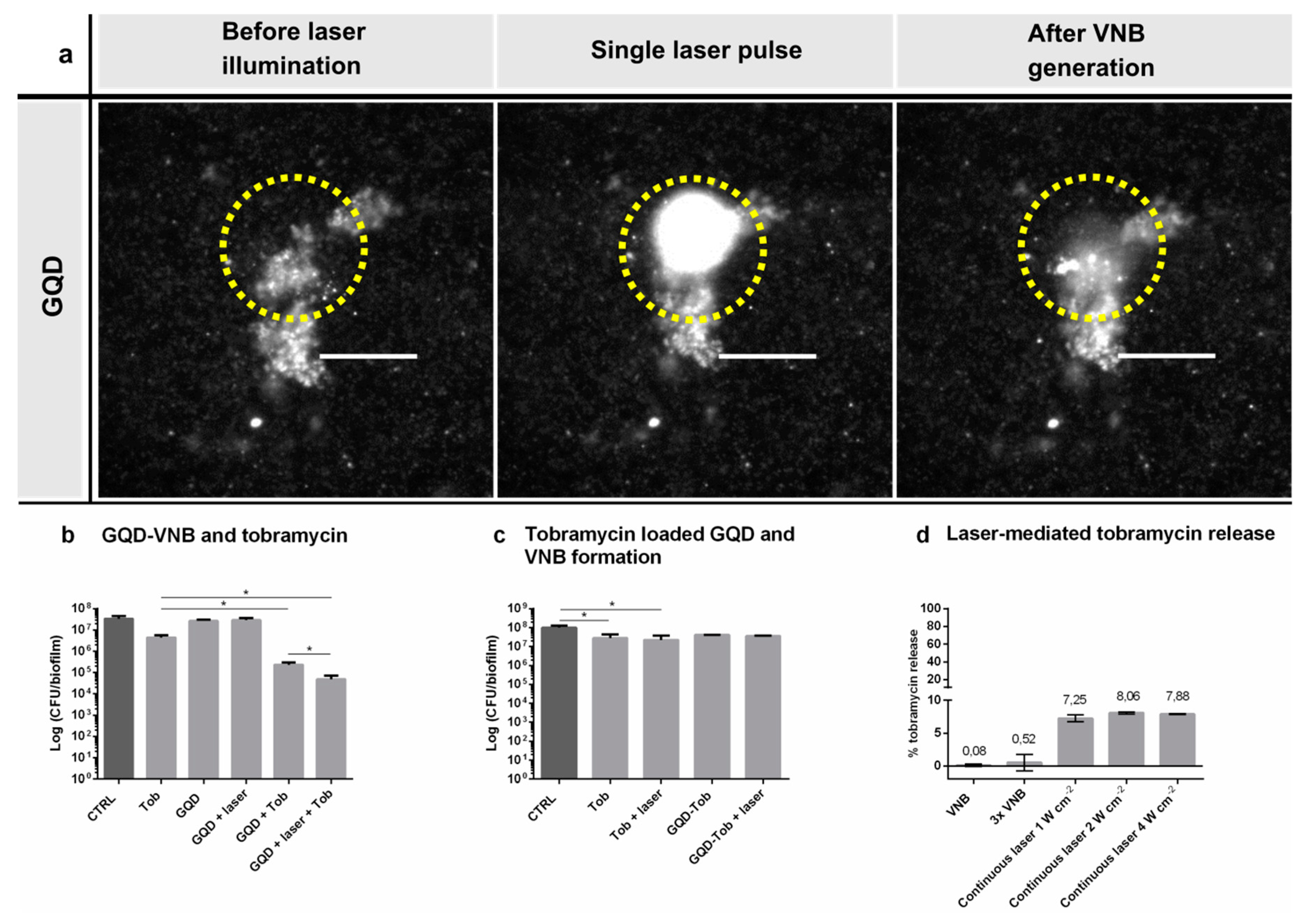 Pharmaceutics 11 00201 g003