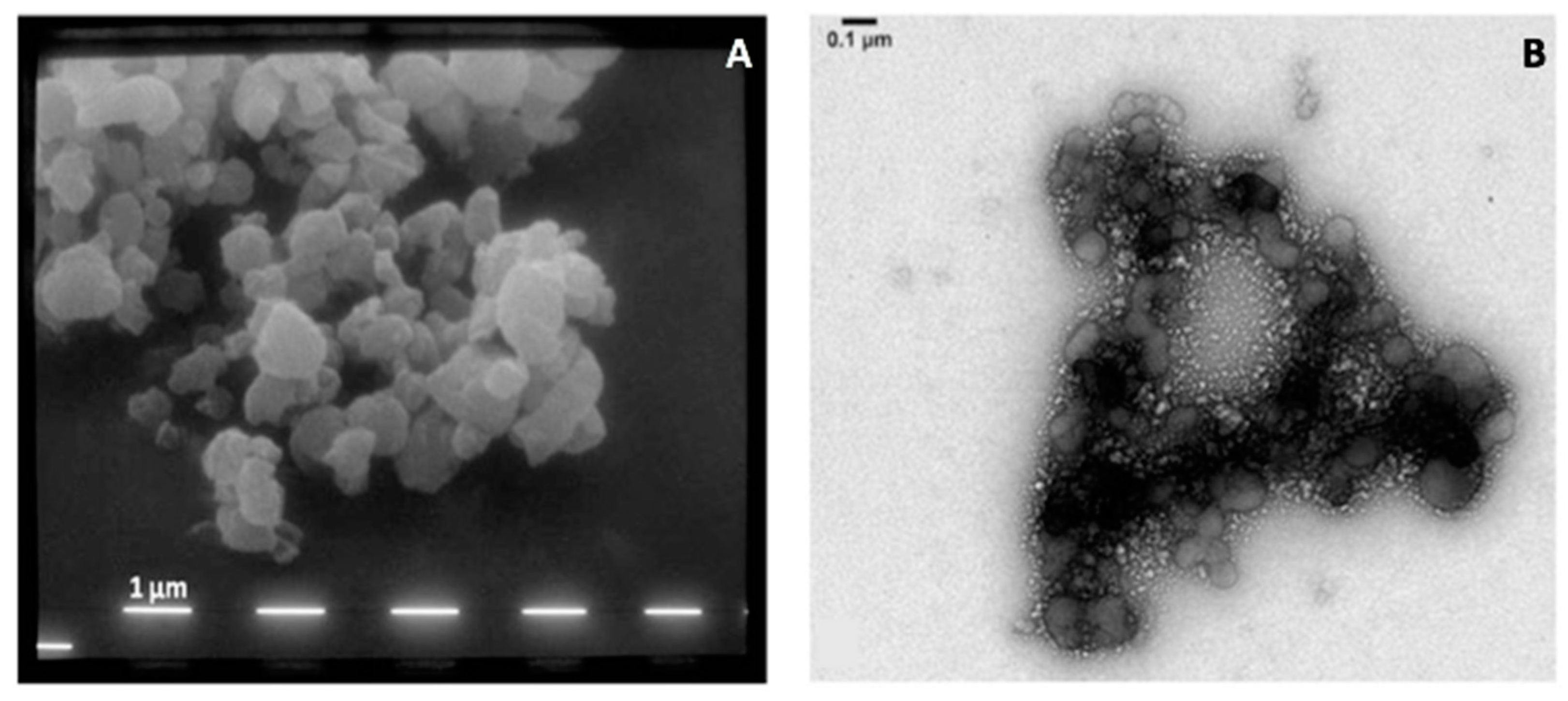 Pharmaceutics 11 00203 g006 Pharmaceutics 11 00203 g006