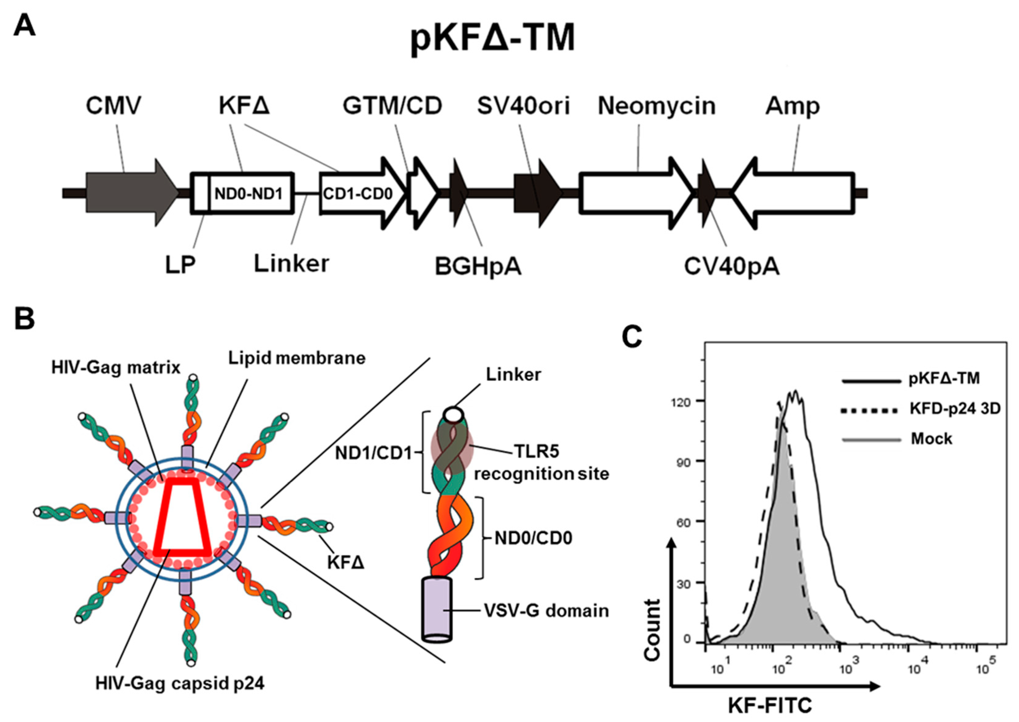 Pharmaceutics 11 00204 g001a Pharmaceutics 11 00204 g001a