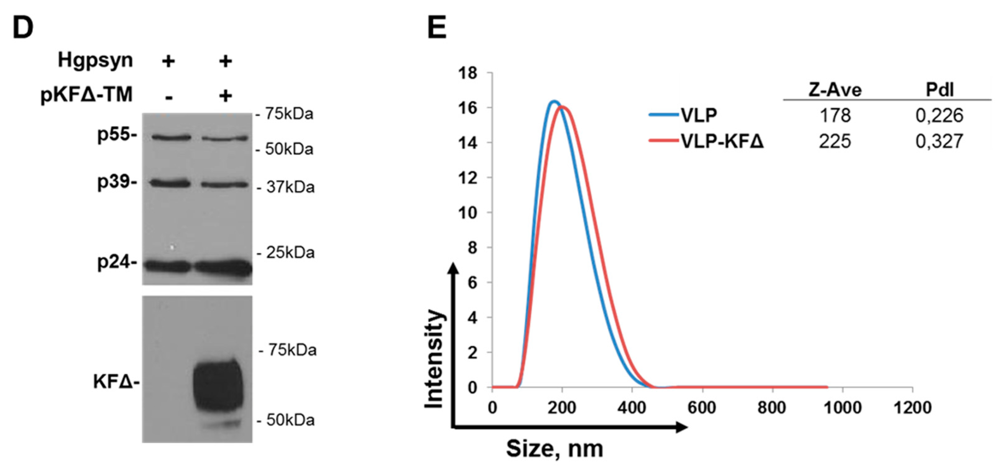 Pharmaceutics 11 00204 g001b Pharmaceutics 11 00204 g001b