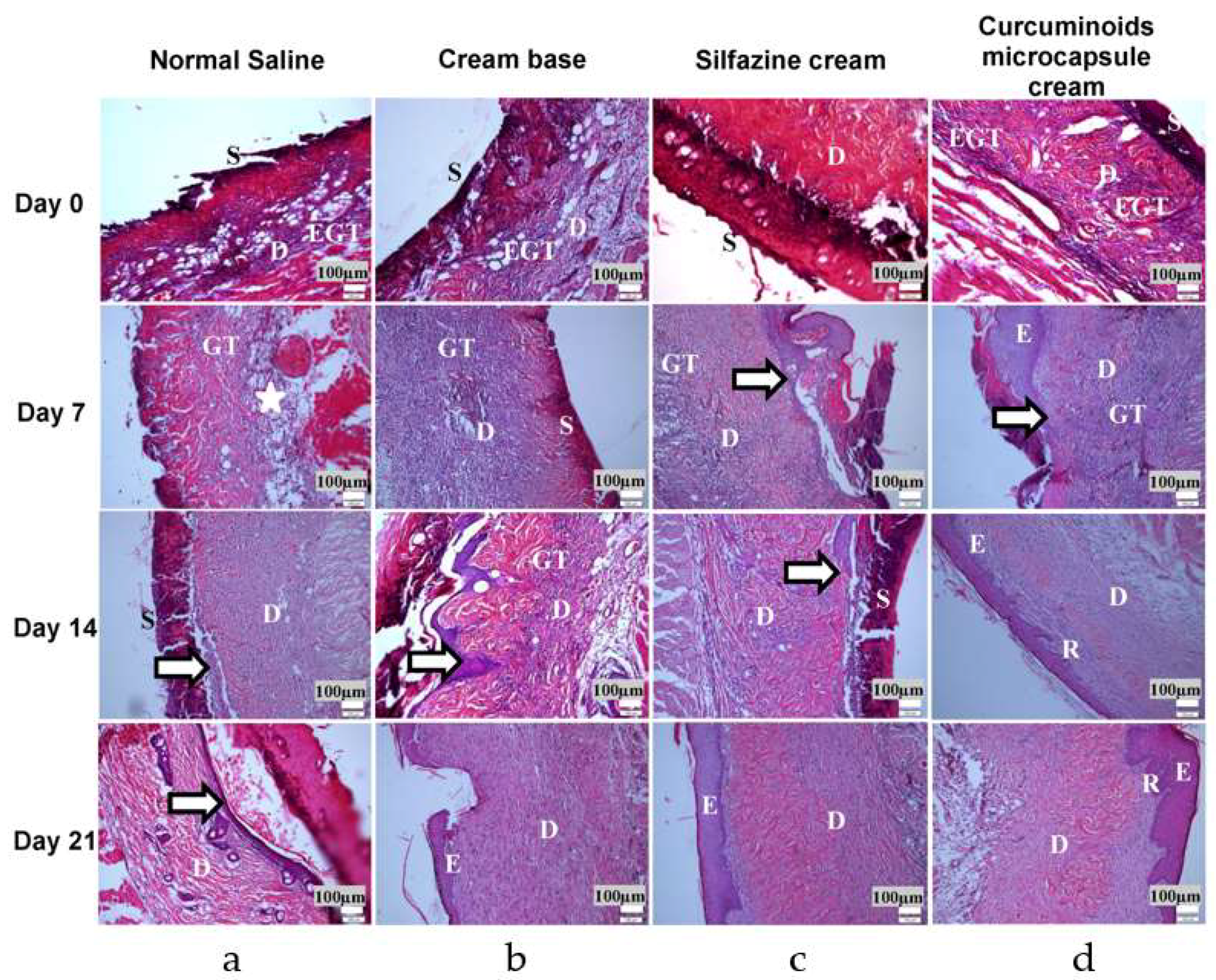Pharmaceutics 11 00205 g006