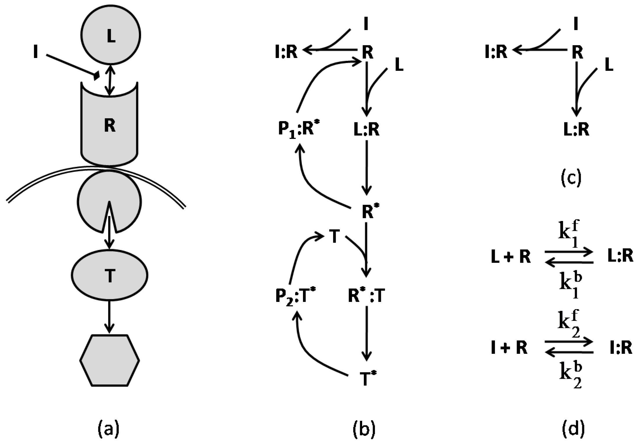 Pharmaceutics 11 00208 g006
