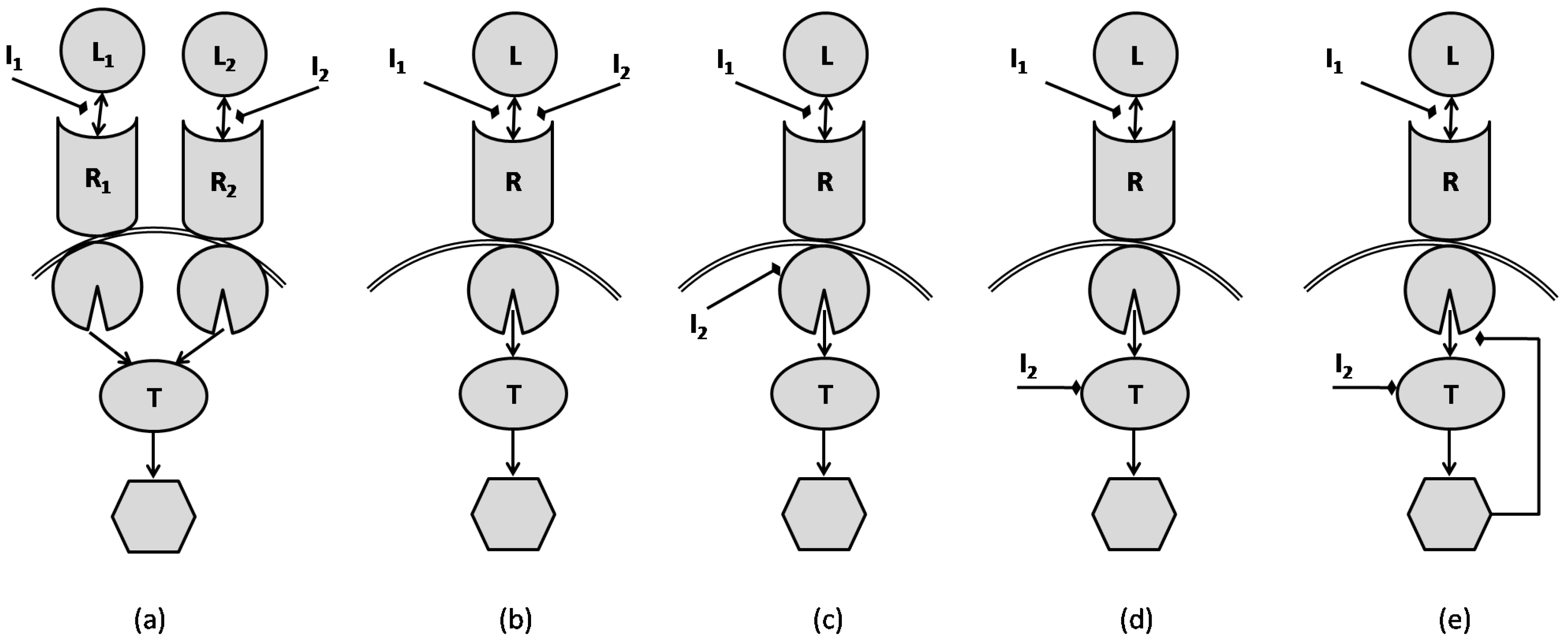 Pharmaceutics 11 00208 g008