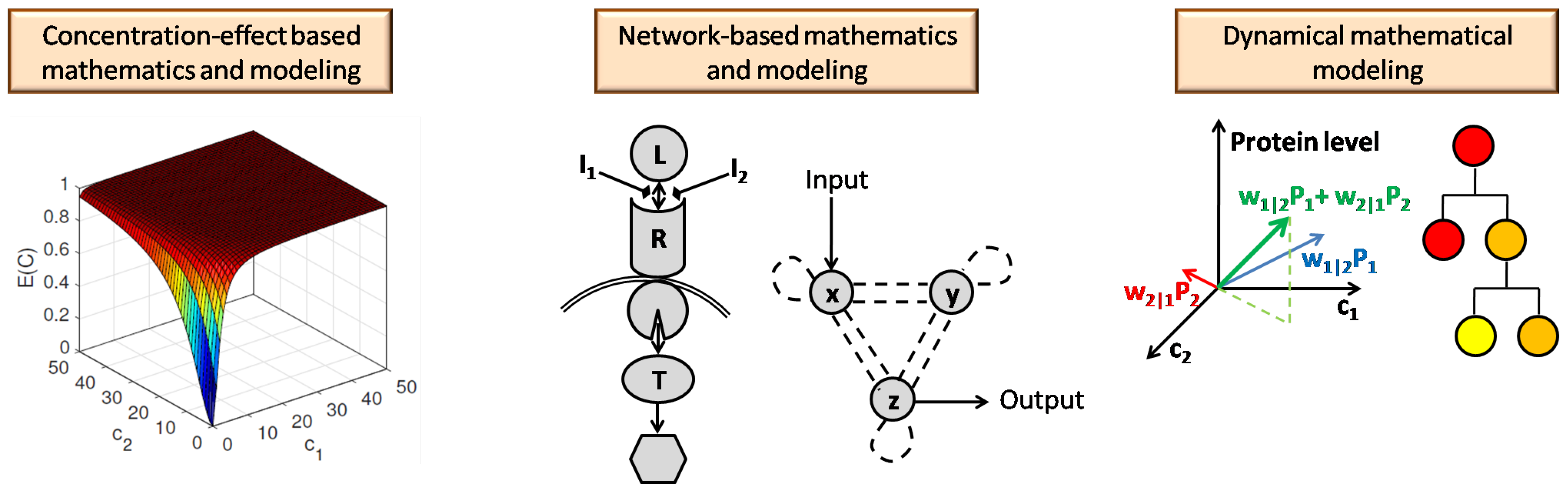 Pharmaceutics 11 00208 g013