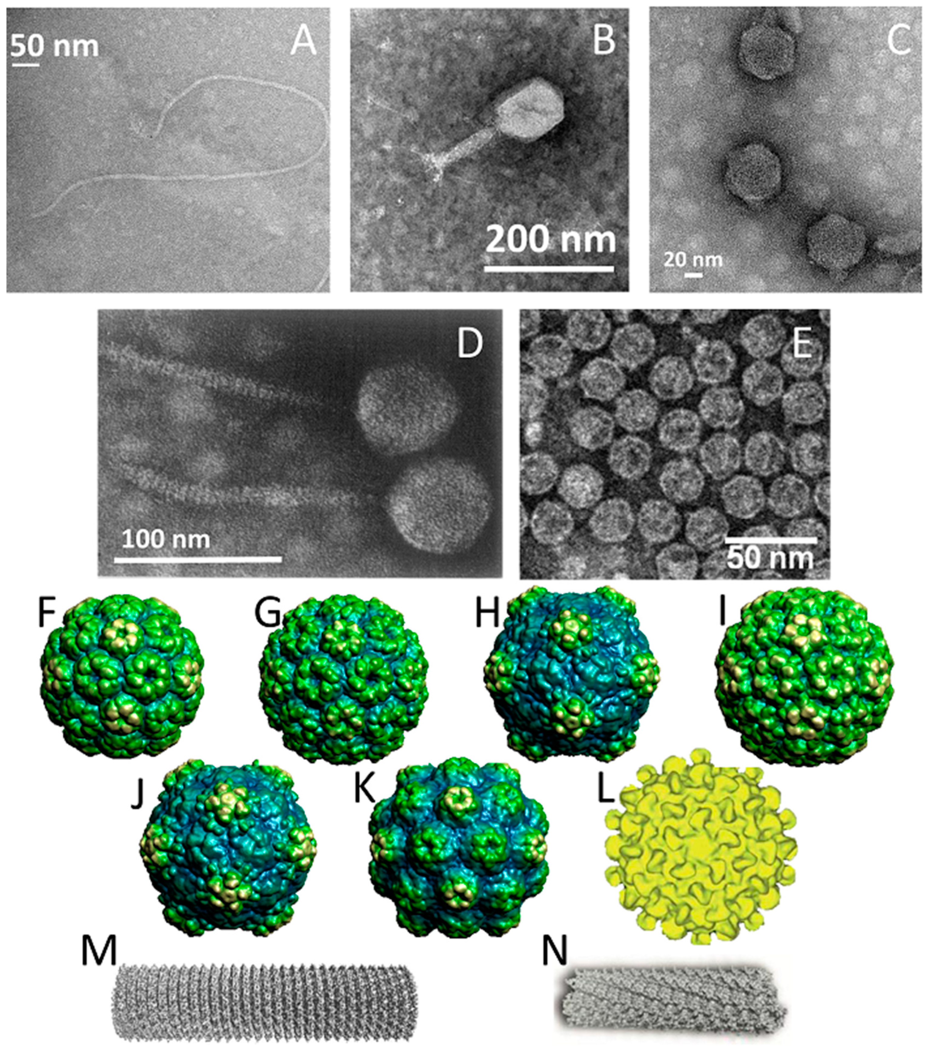 Pharmaceutics 11 00211 g001 Pharmaceutics 11 00211 g001