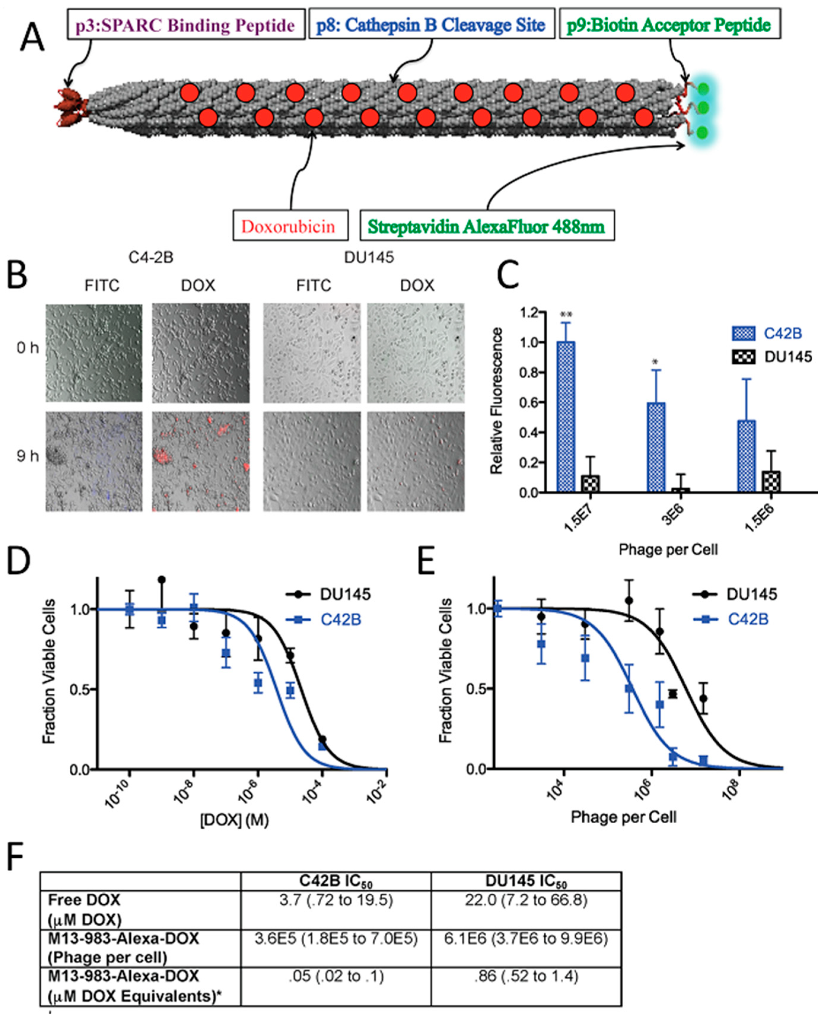 Pharmaceutics 11 00211 g003 Pharmaceutics 11 00211 g003