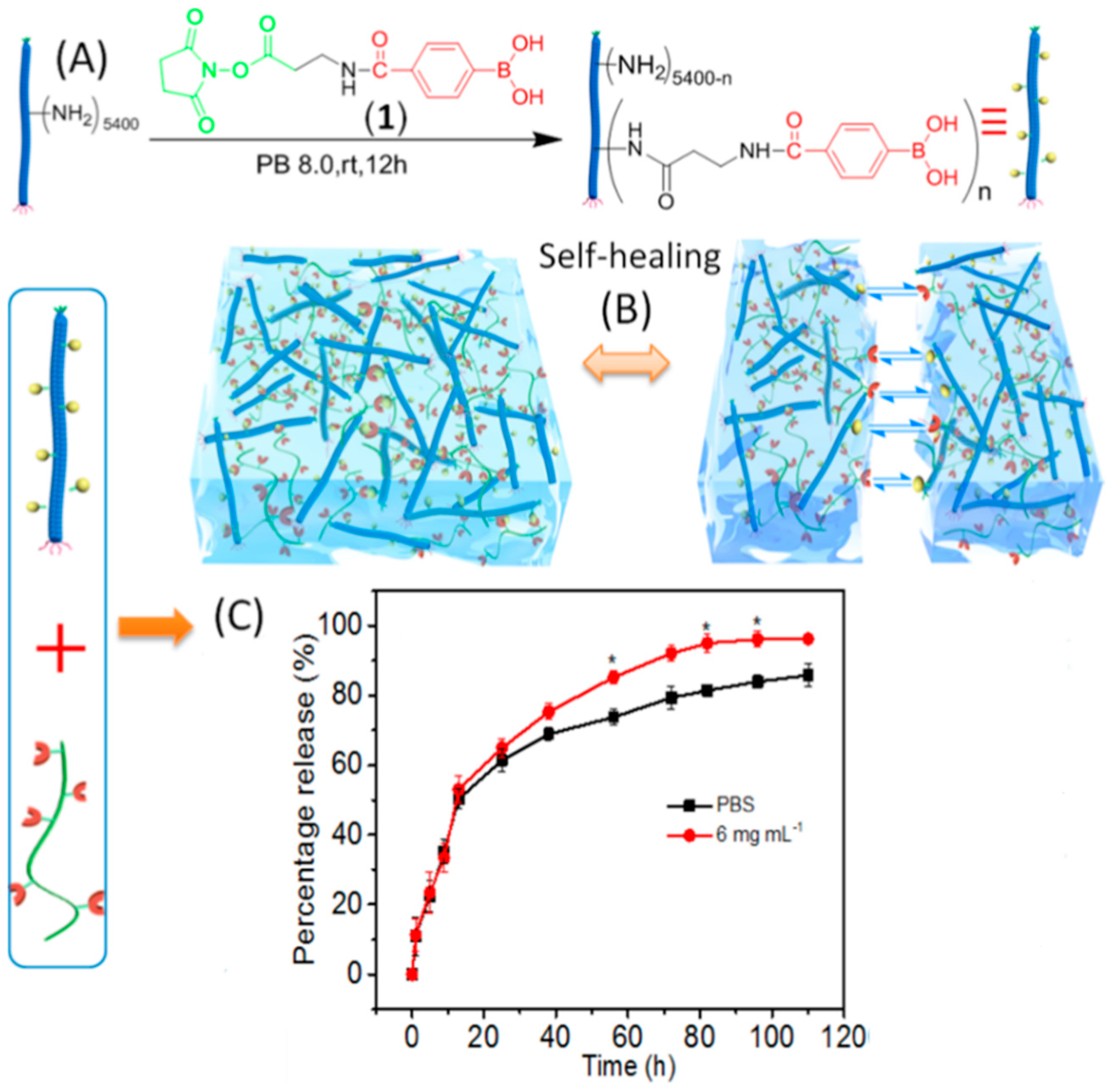 Pharmaceutics 11 00211 g006 Pharmaceutics 11 00211 g006