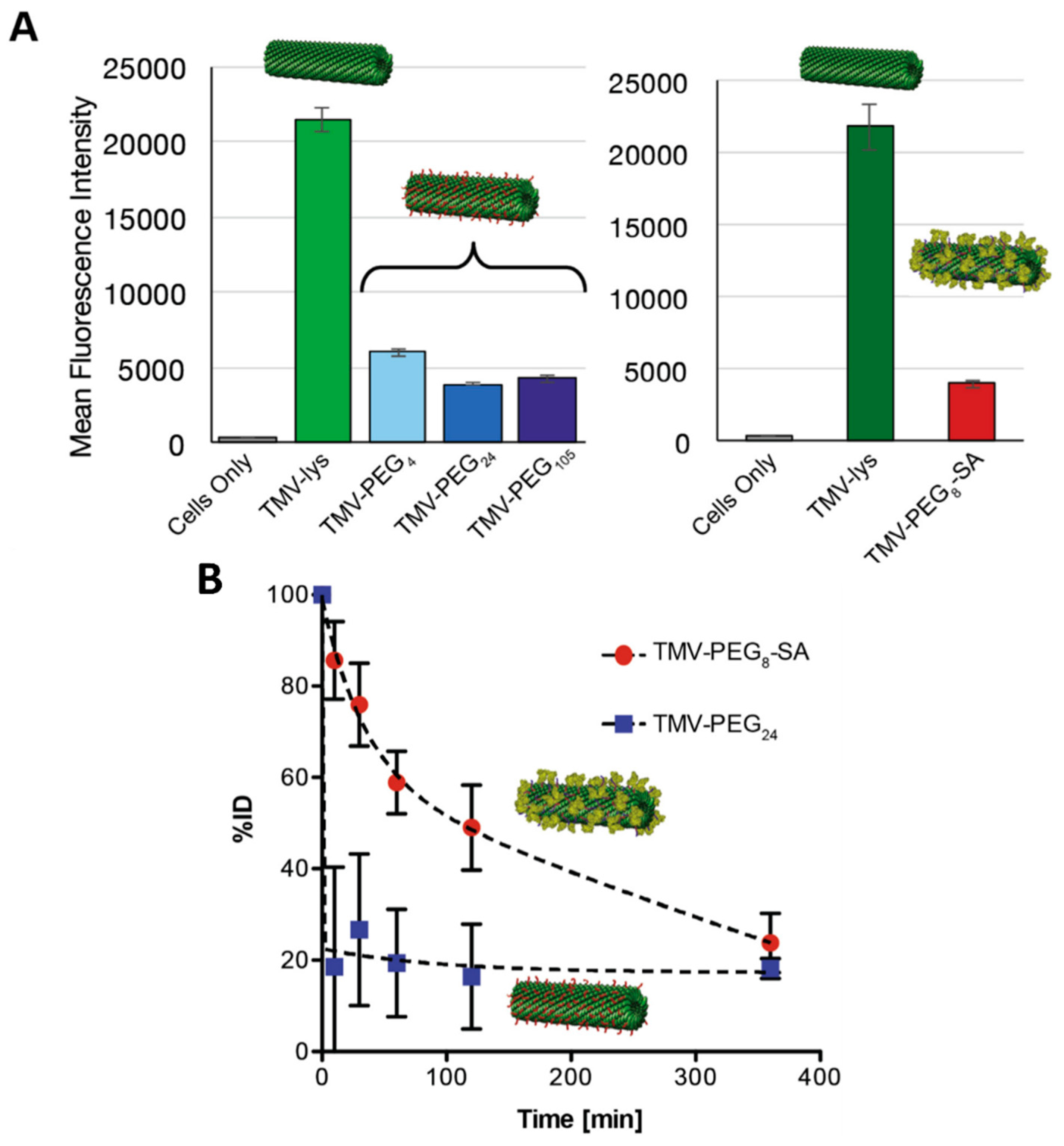 Pharmaceutics 11 00211 g008 Pharmaceutics 11 00211 g008
