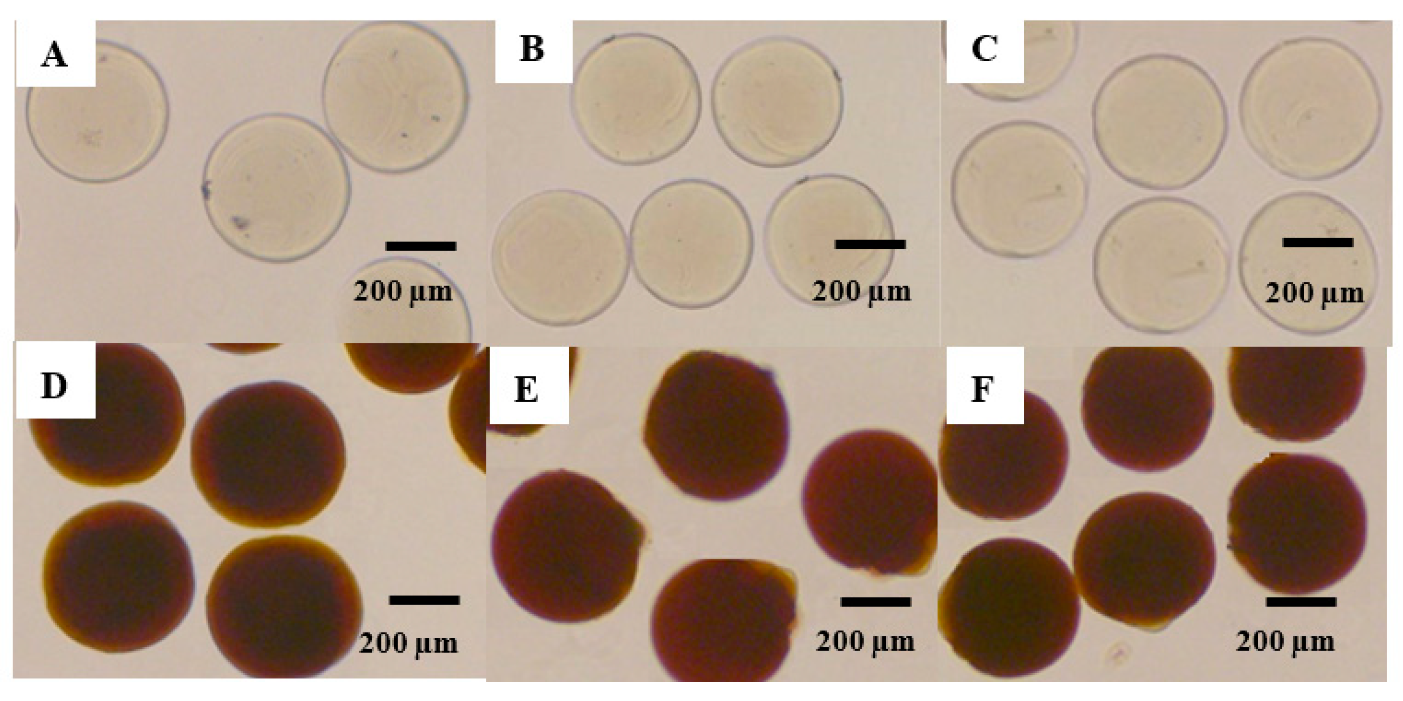 Pharmaceutics 11 00212 g003