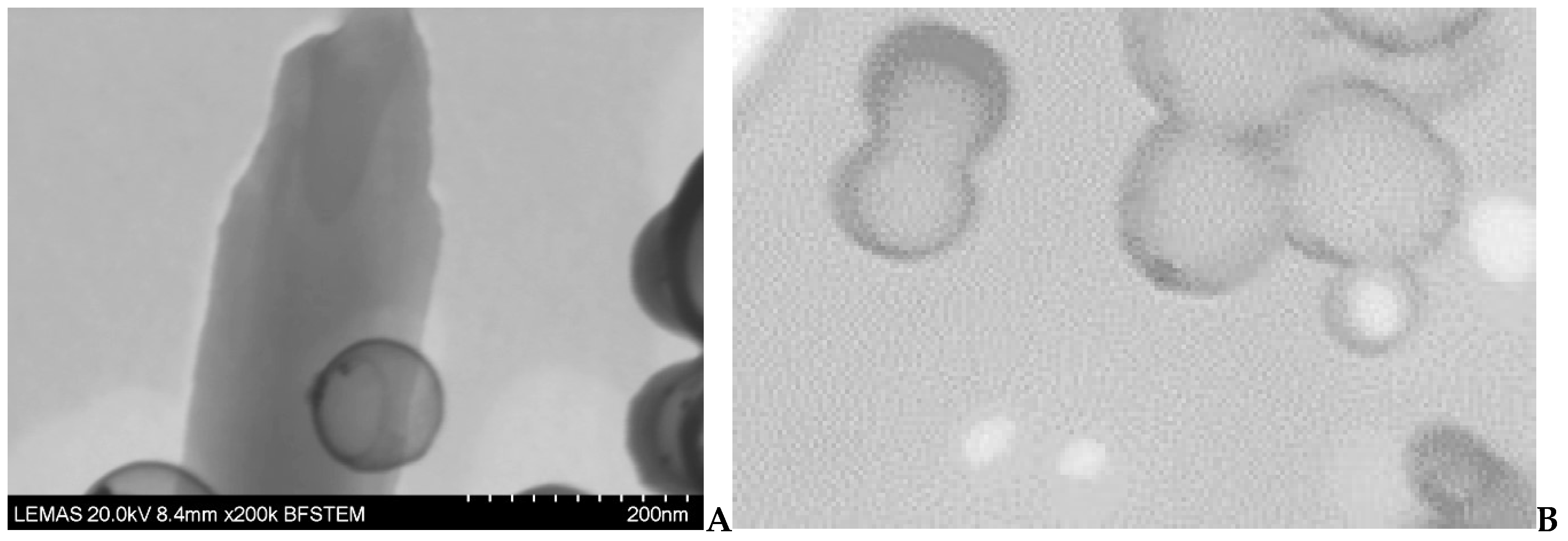 Pharmaceutics 11 00213 g005