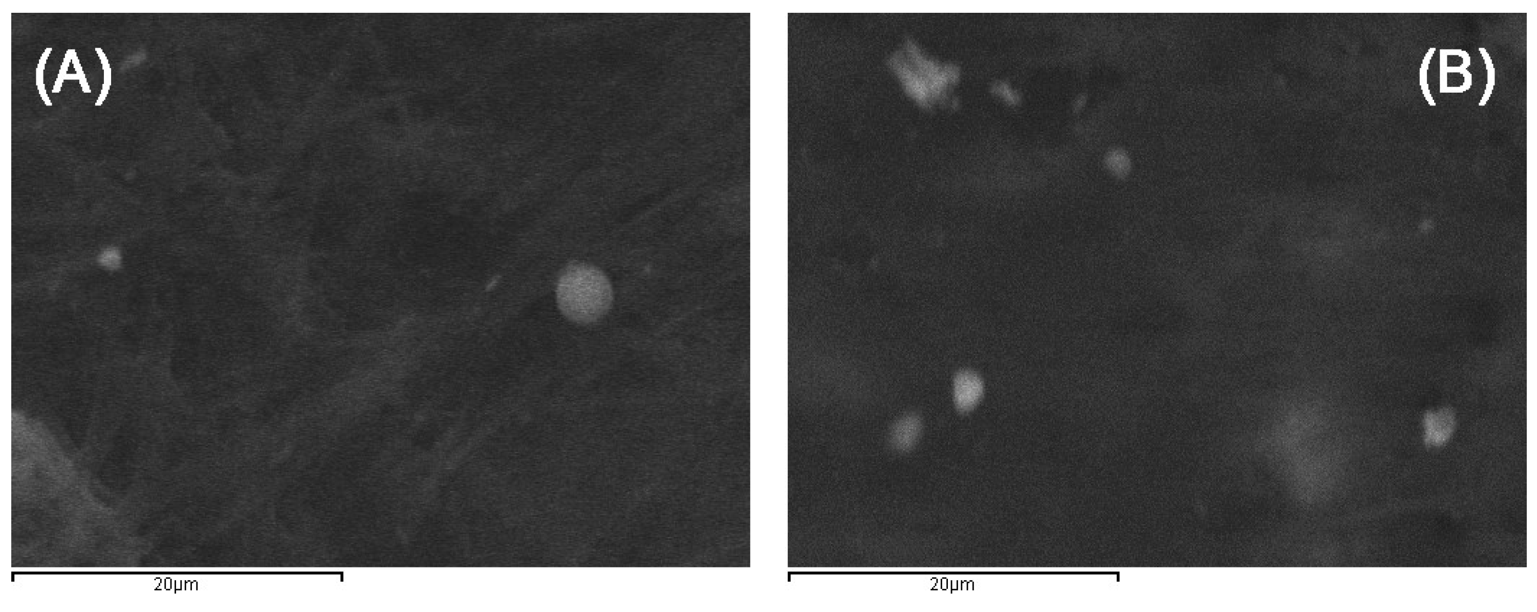 Pharmaceutics 11 00213 g0a2