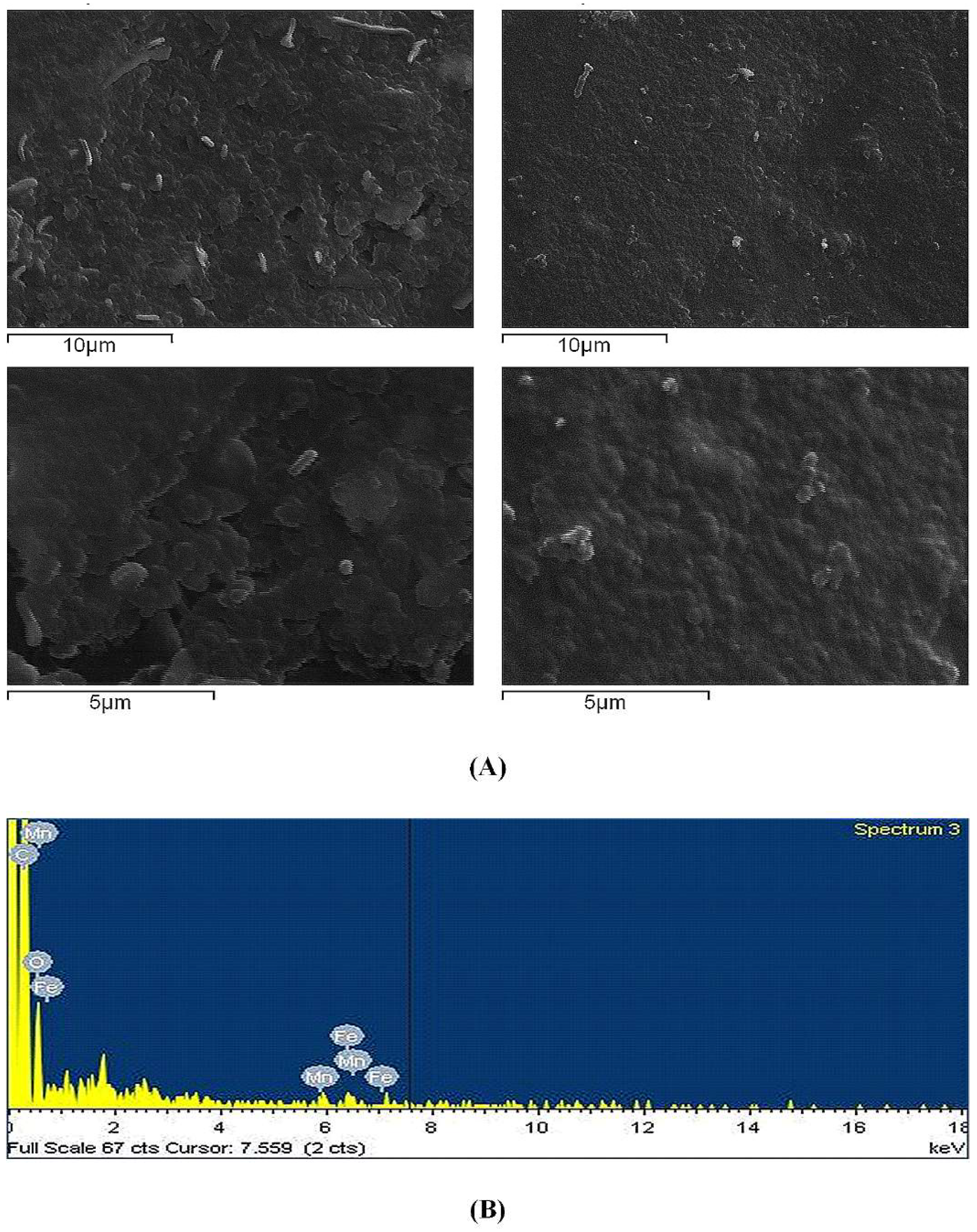 Pharmaceutics 11 00213 g0a3