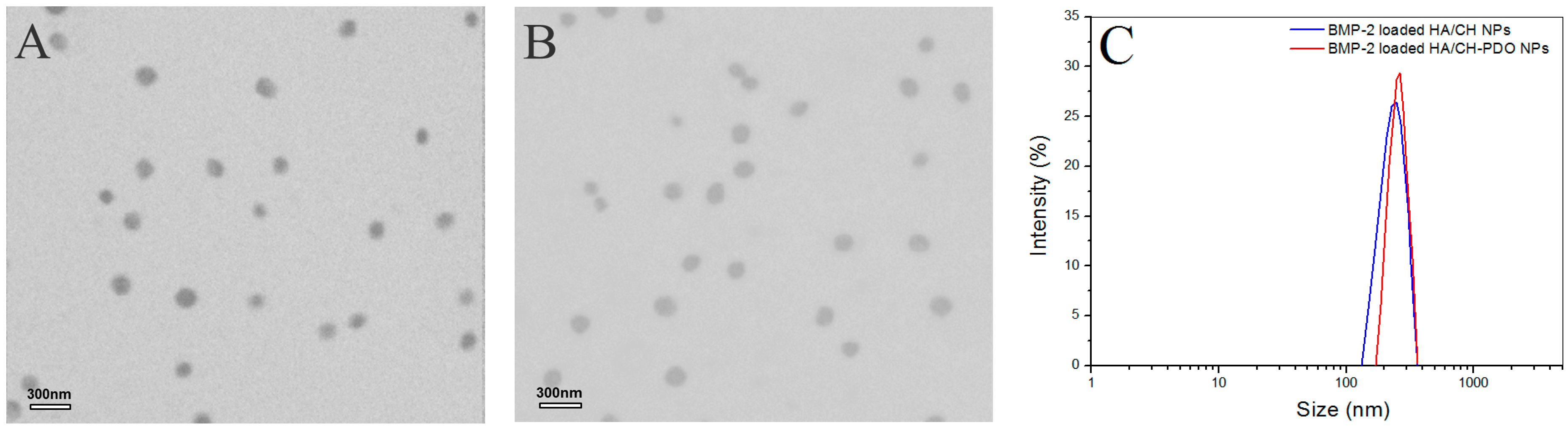 Pharmaceutics 11 00214 g002