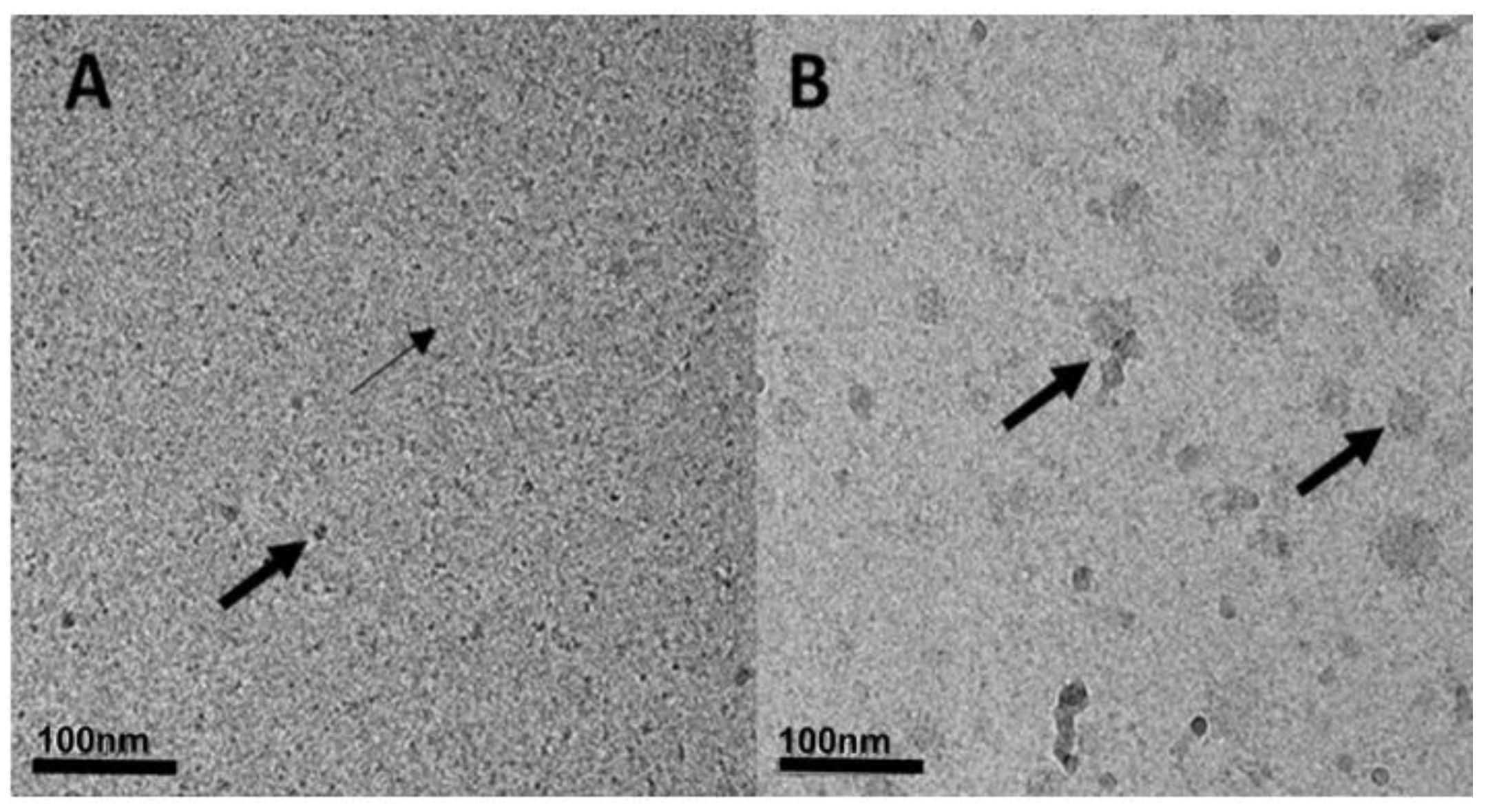 Pharmaceutics 11 00216 g005 Pharmaceutics 11 00216 g005