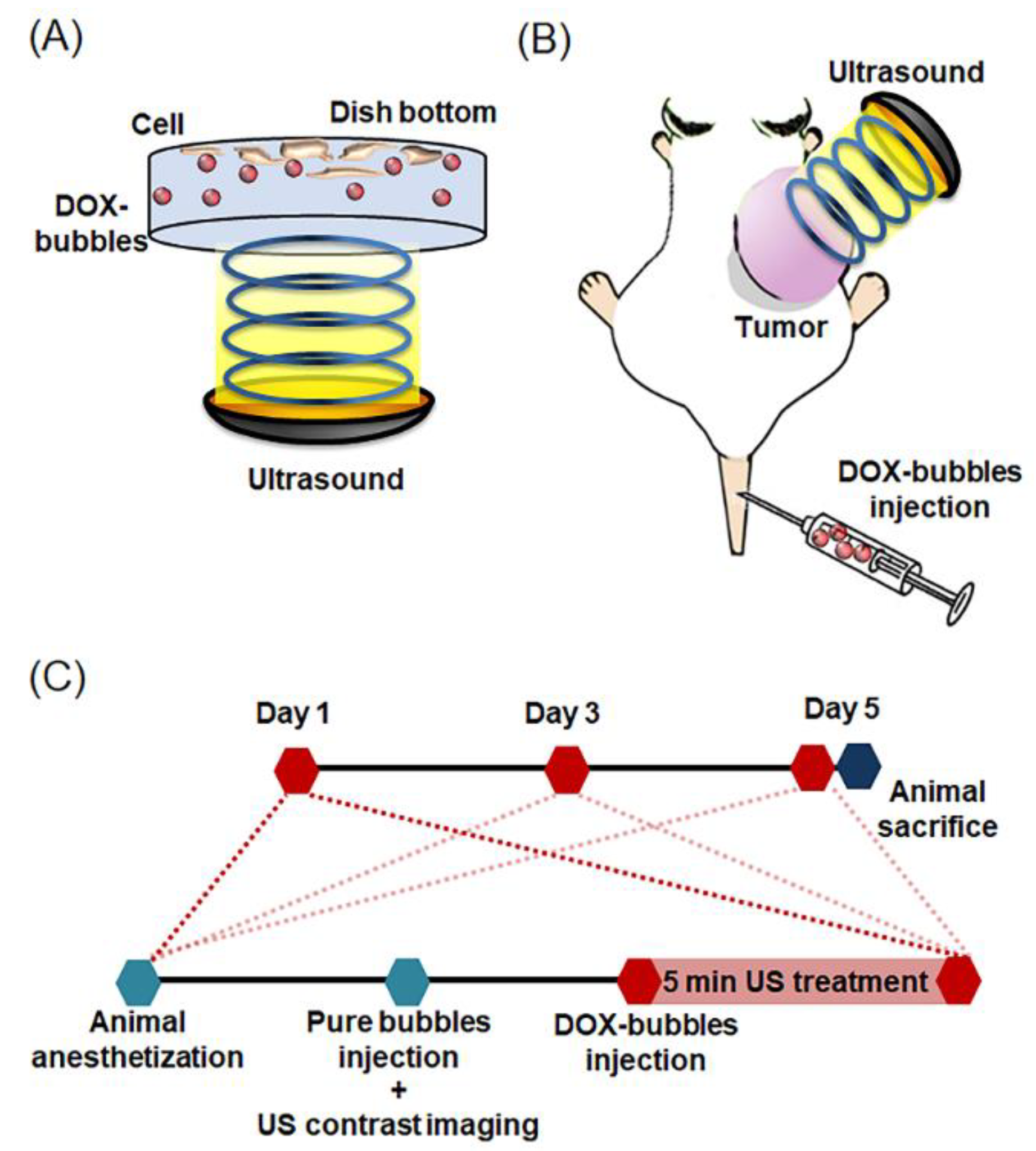 Pharmaceutics 11 00223 g002 Pharmaceutics 11 00223 g002