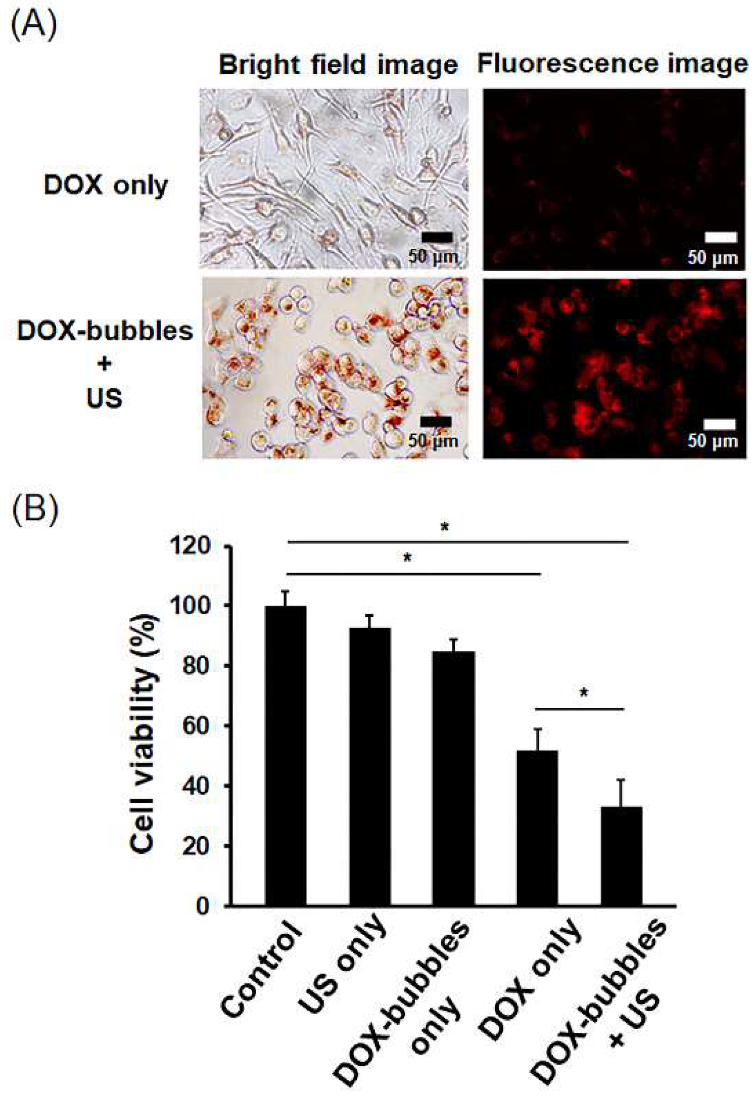 Pharmaceutics 11 00223 g005 Pharmaceutics 11 00223 g005