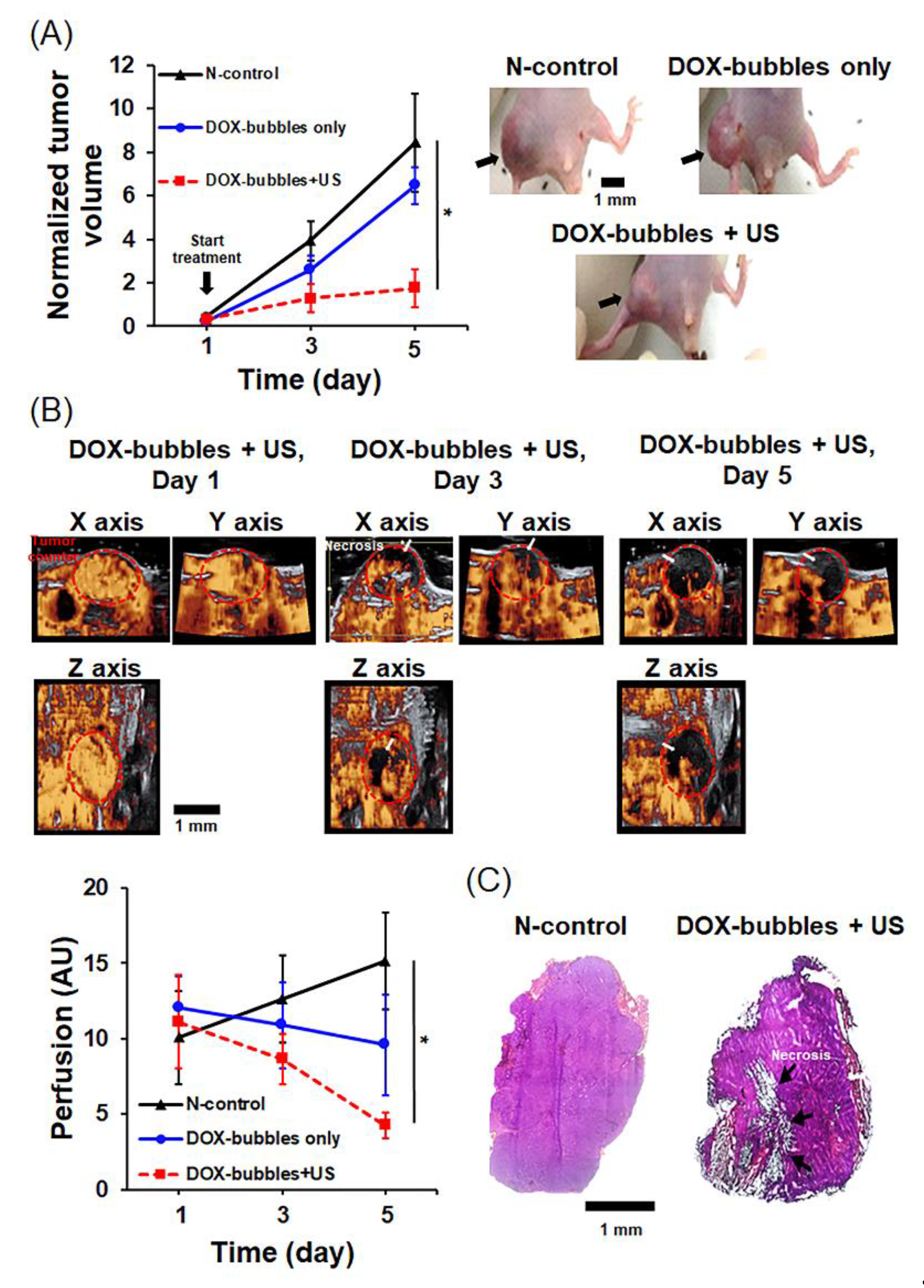 Pharmaceutics 11 00223 g007 Pharmaceutics 11 00223 g007