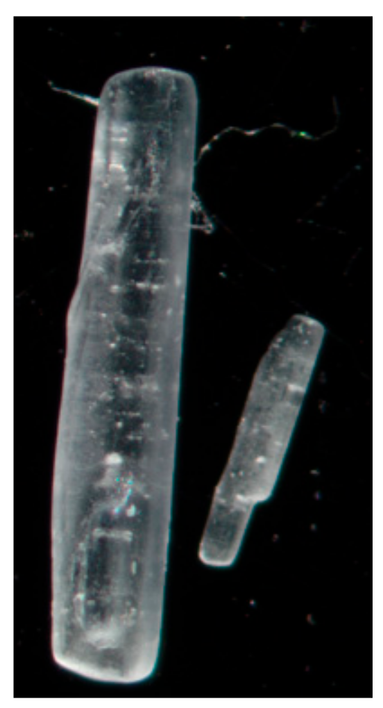 Pharmaceutics 11 00233 g001