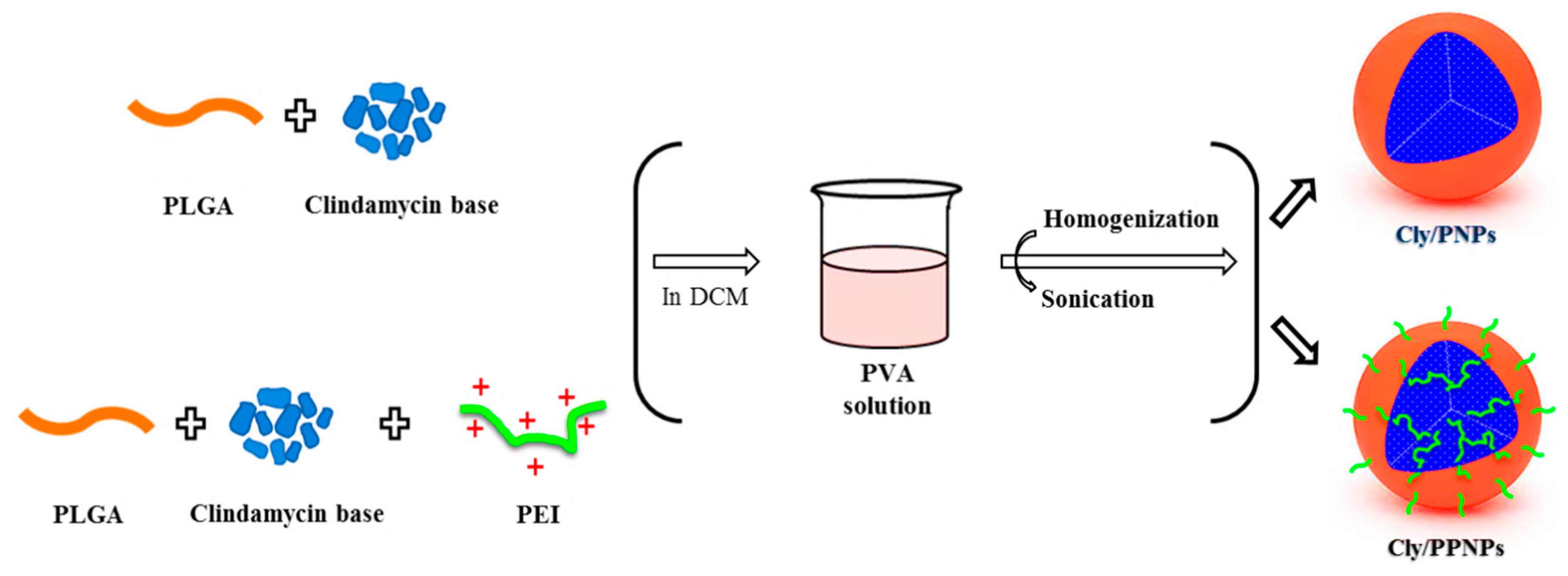 Pharmaceutics 11 00236 g001 Pharmaceutics 11 00236 g001