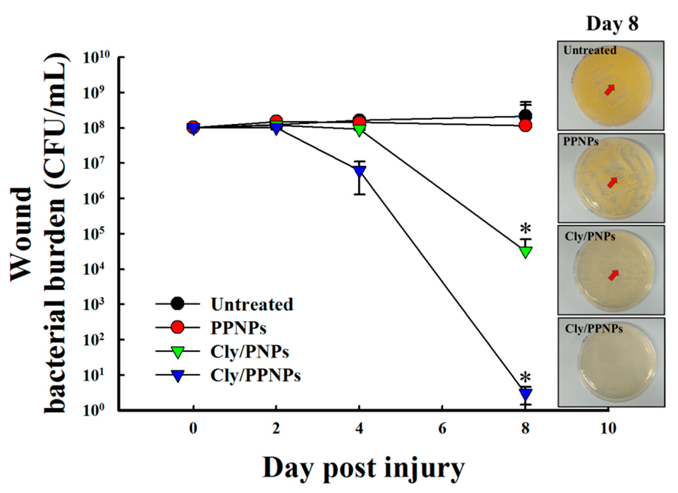 Pharmaceutics 11 00236 g007 Pharmaceutics 11 00236 g007