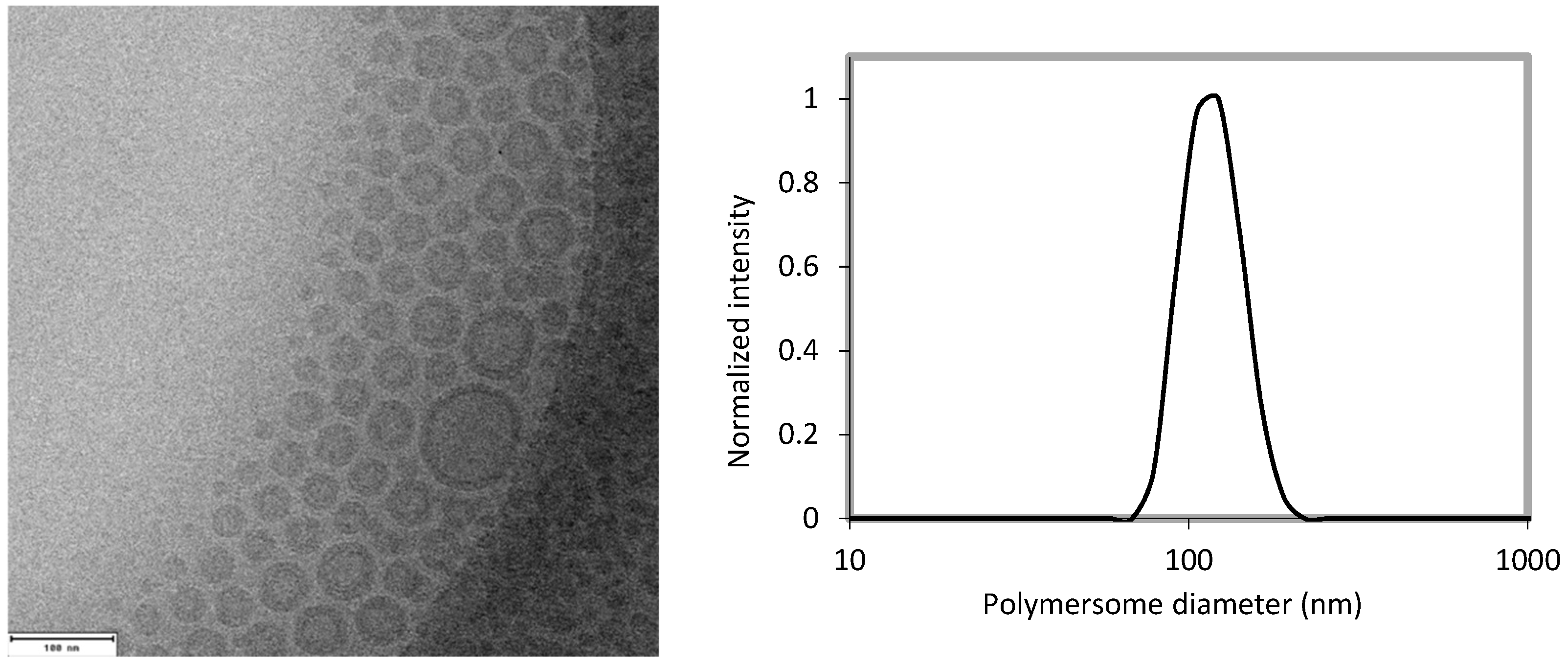 Pharmaceutics 11 00241 g001