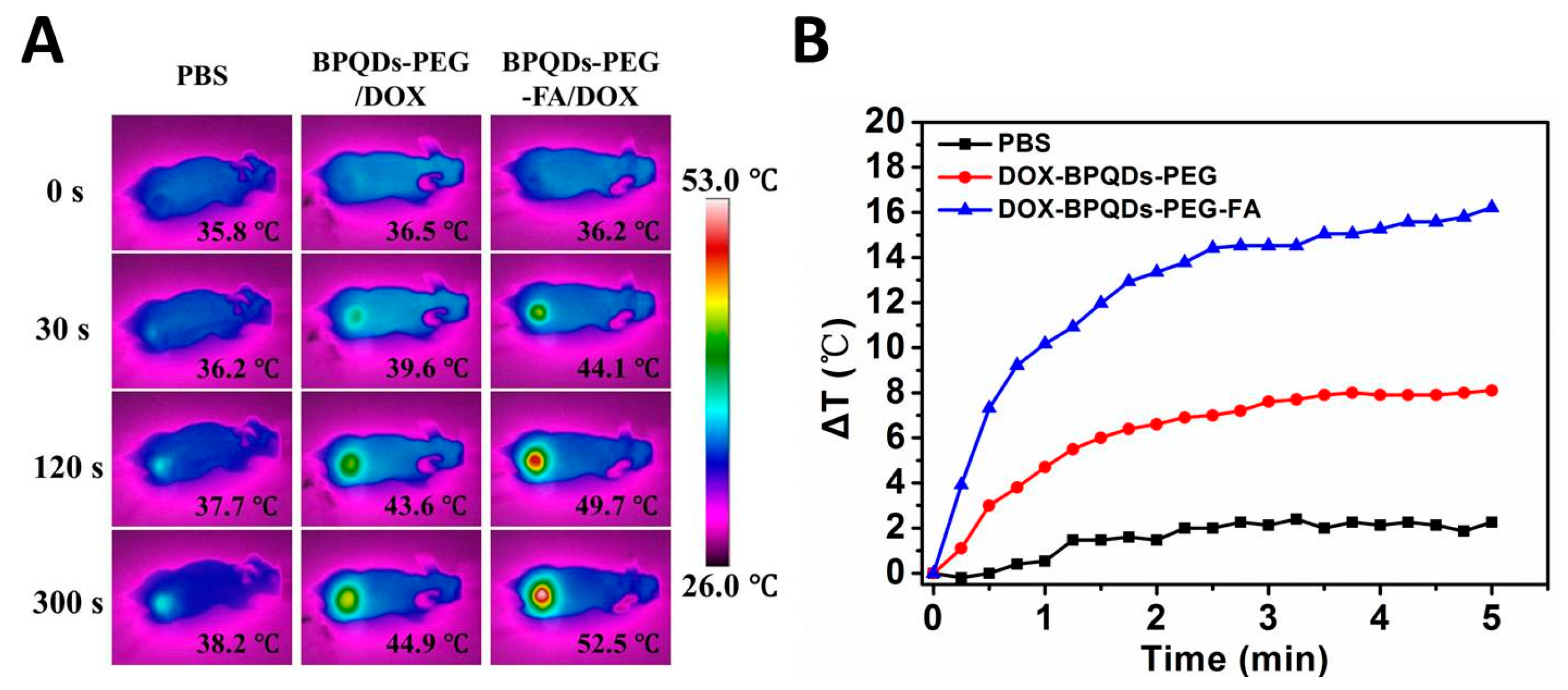Pharmaceutics 11 00242 g007