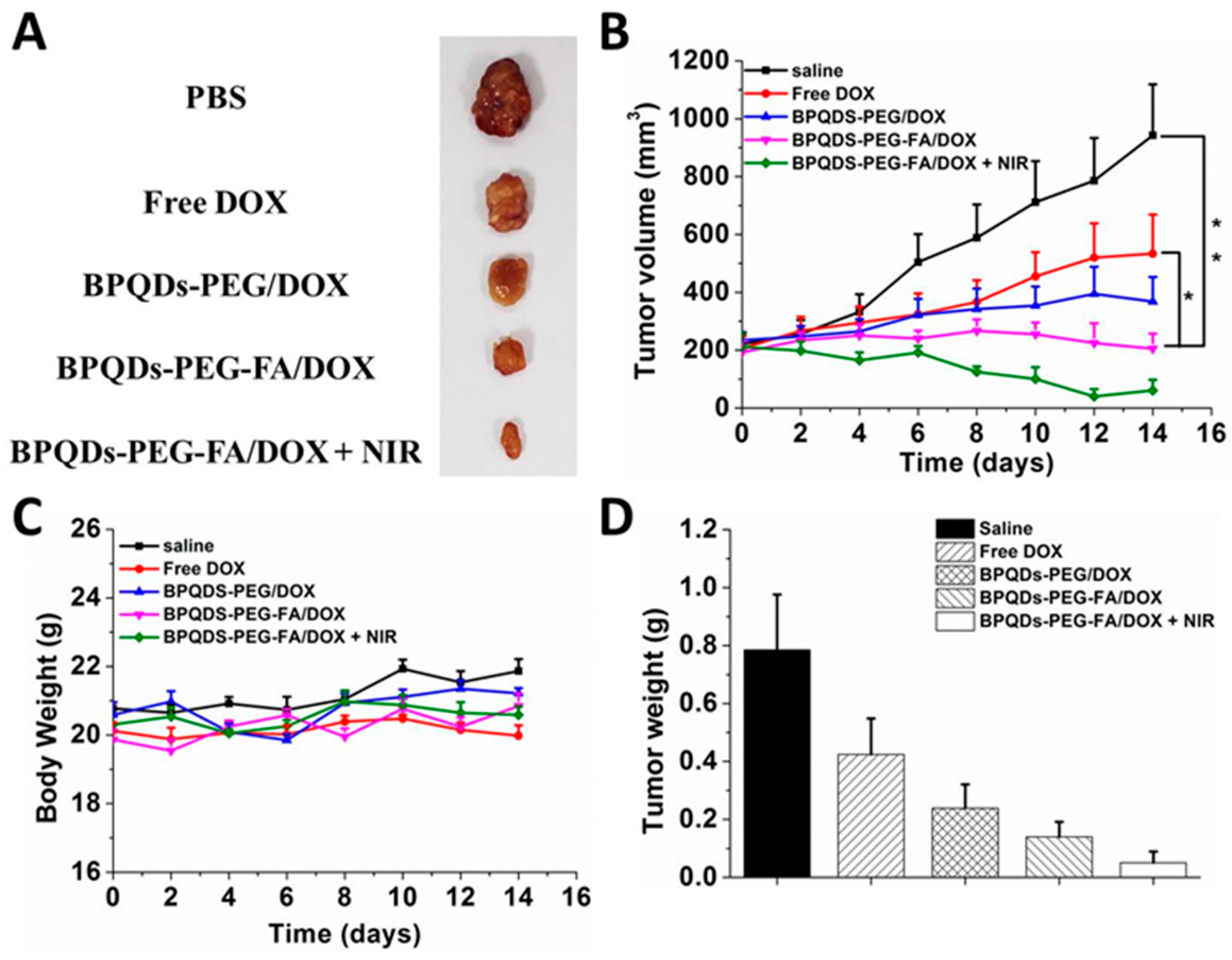 Pharmaceutics 11 00242 g008