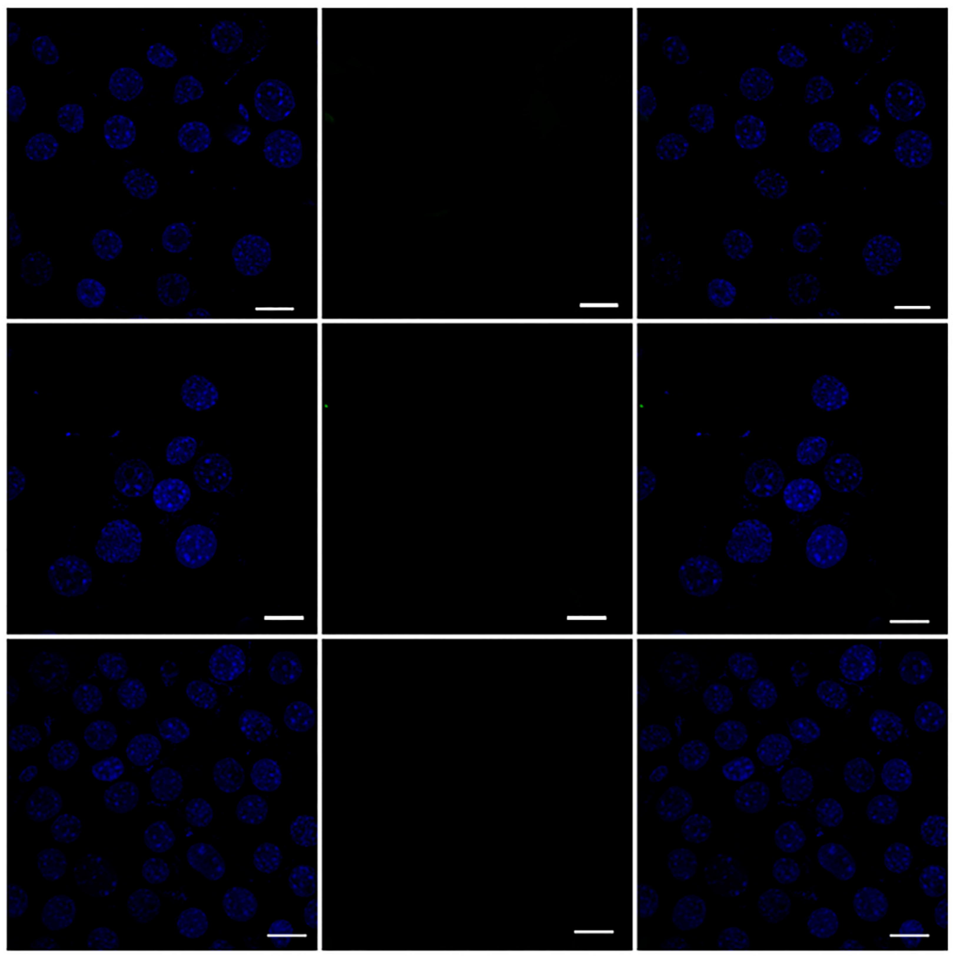 Pharmaceutics 11 00243 g010 Pharmaceutics 11 00243 g010