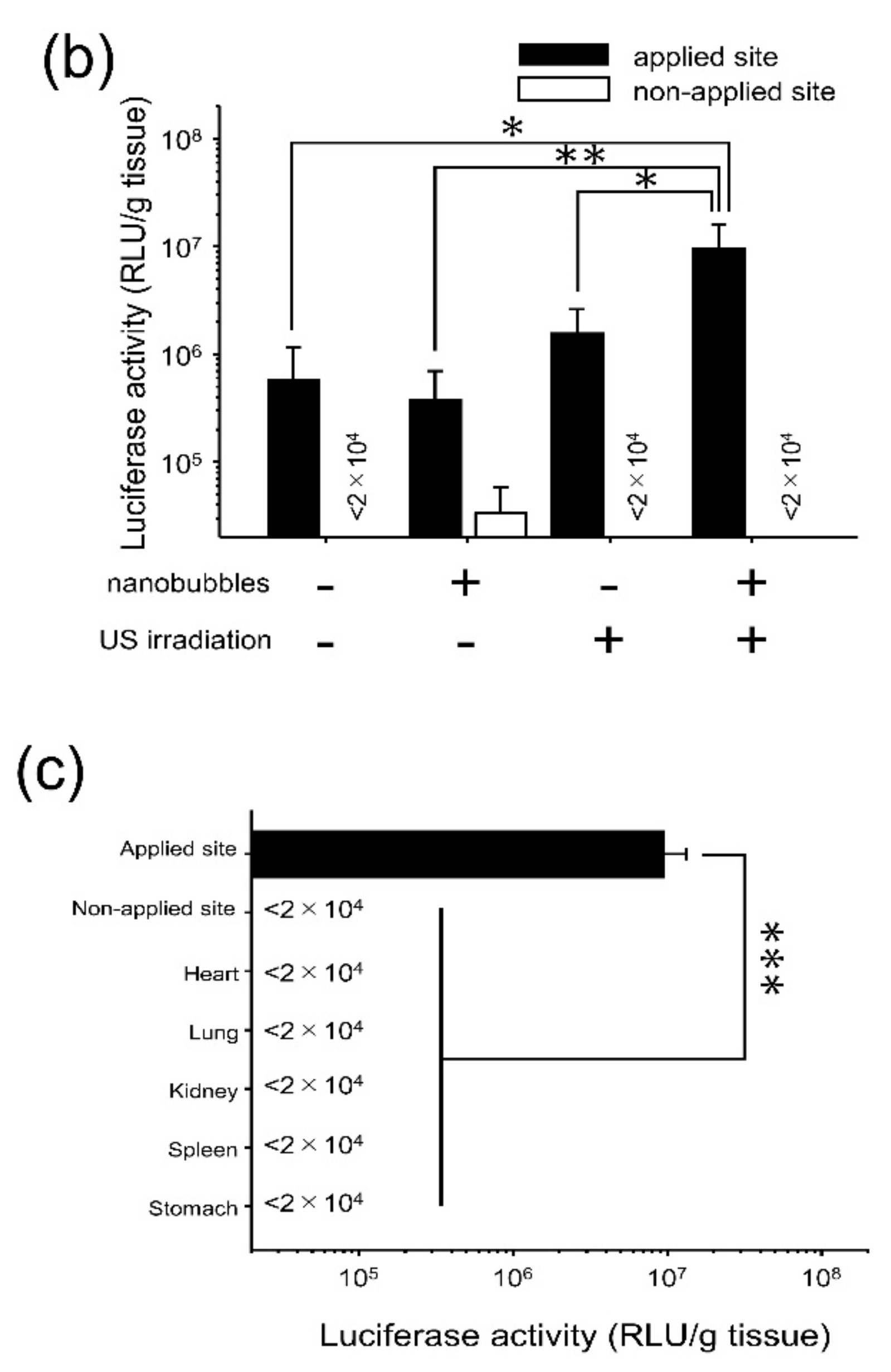 Pharmaceutics 11 00244 g002b Pharmaceutics 11 00244 g002b