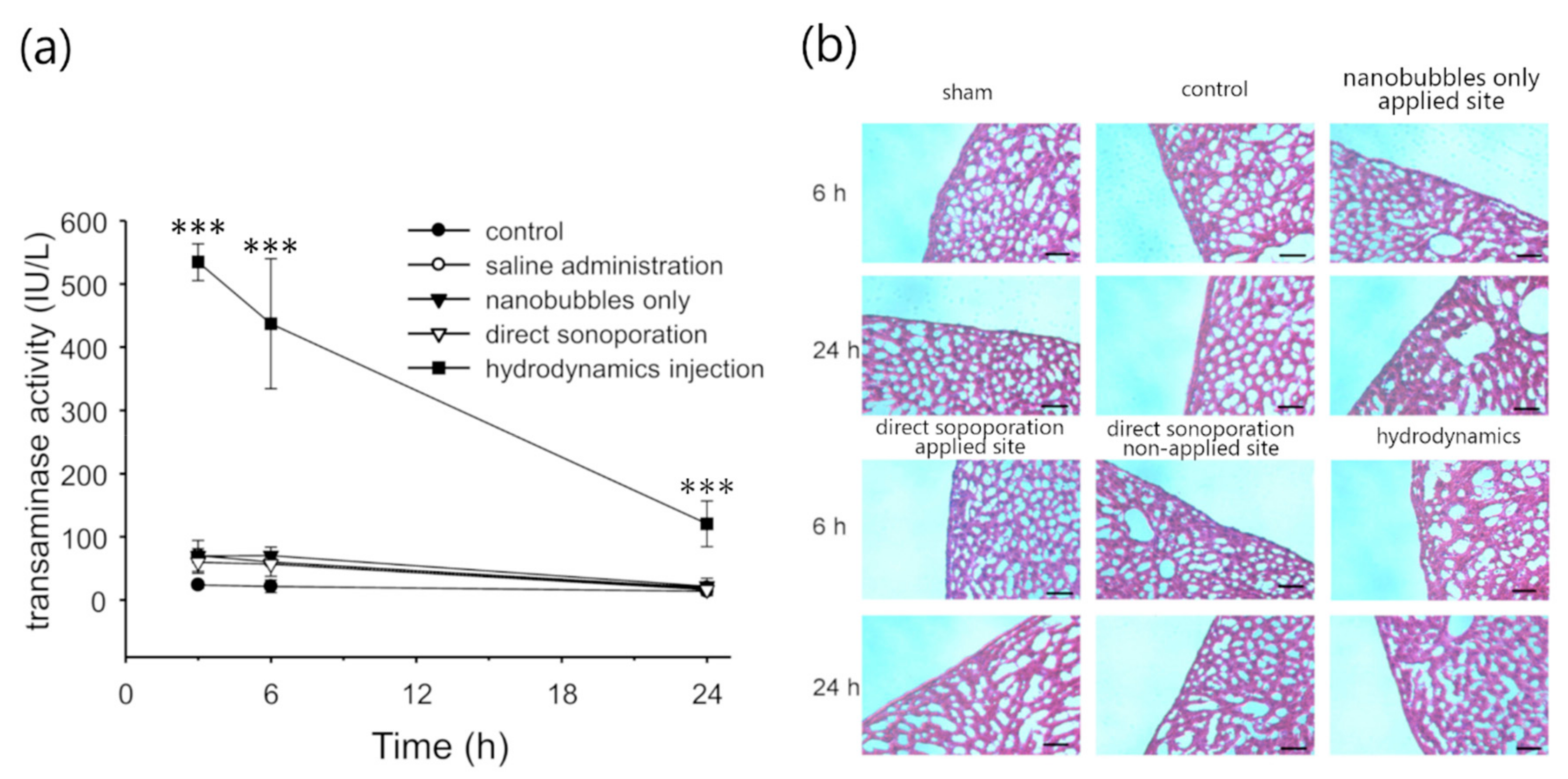 Pharmaceutics 11 00244 g005 Pharmaceutics 11 00244 g005
