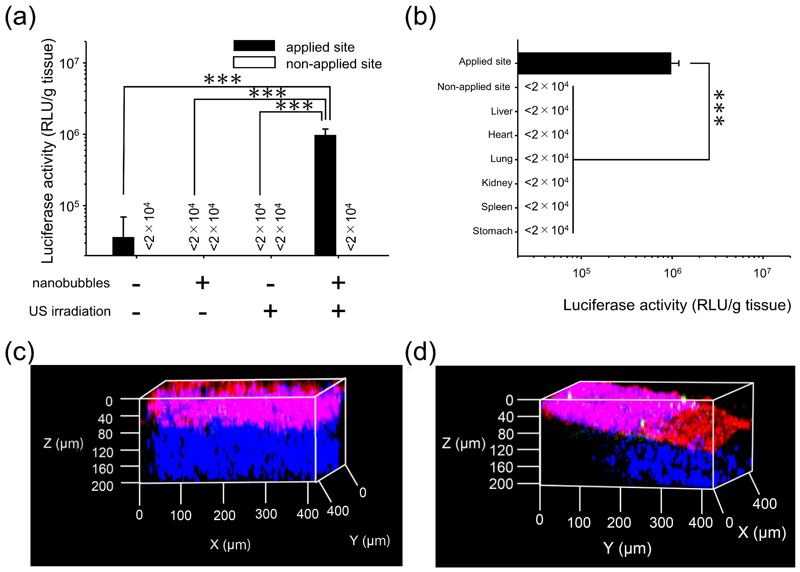 Pharmaceutics 11 00244 g006 Pharmaceutics 11 00244 g006