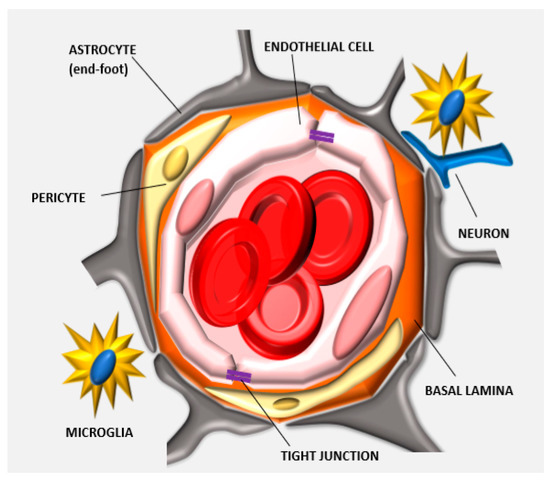 Pharmaceutics 11 00245 g001 550