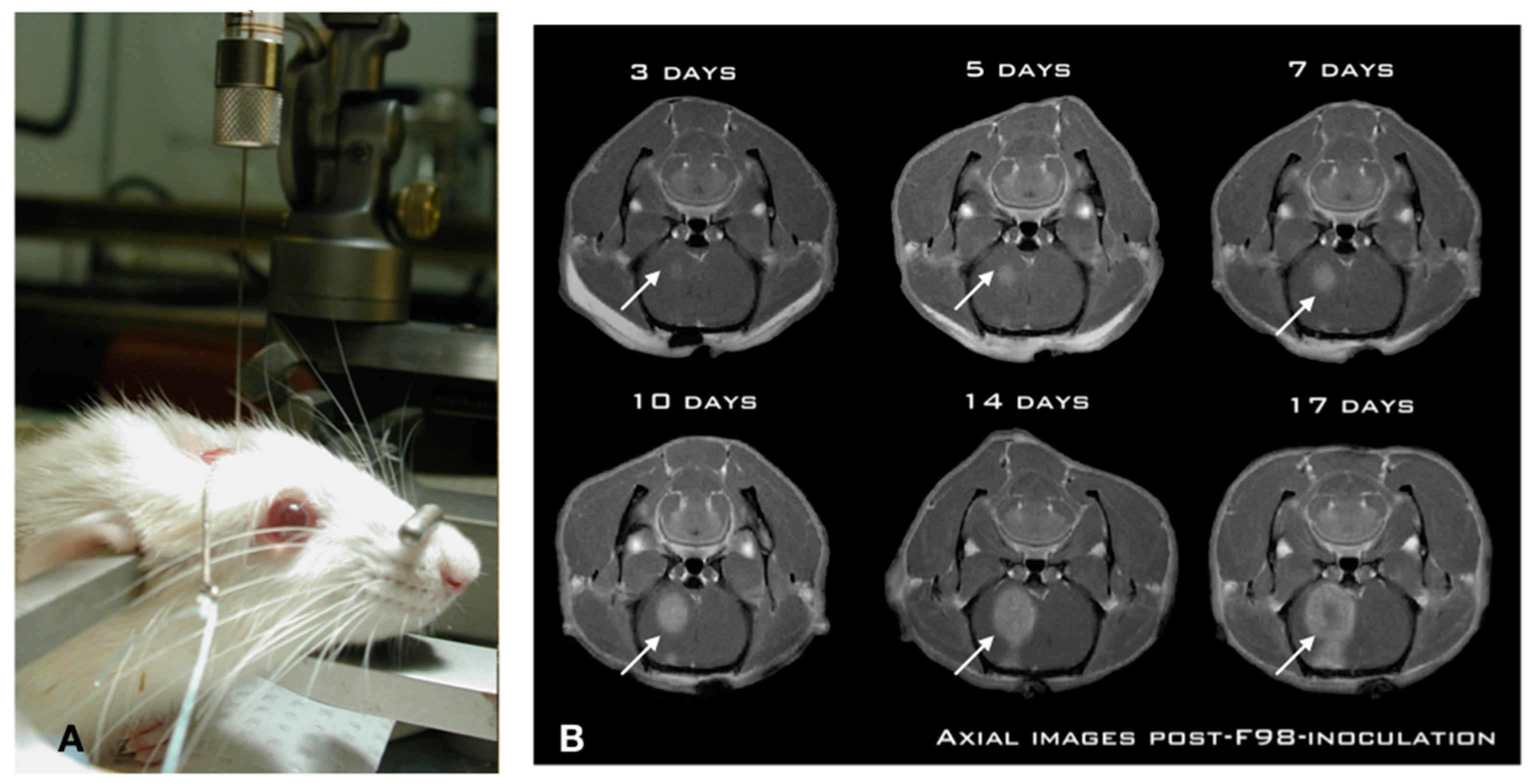 Pharmaceutics 11 00248 g001
