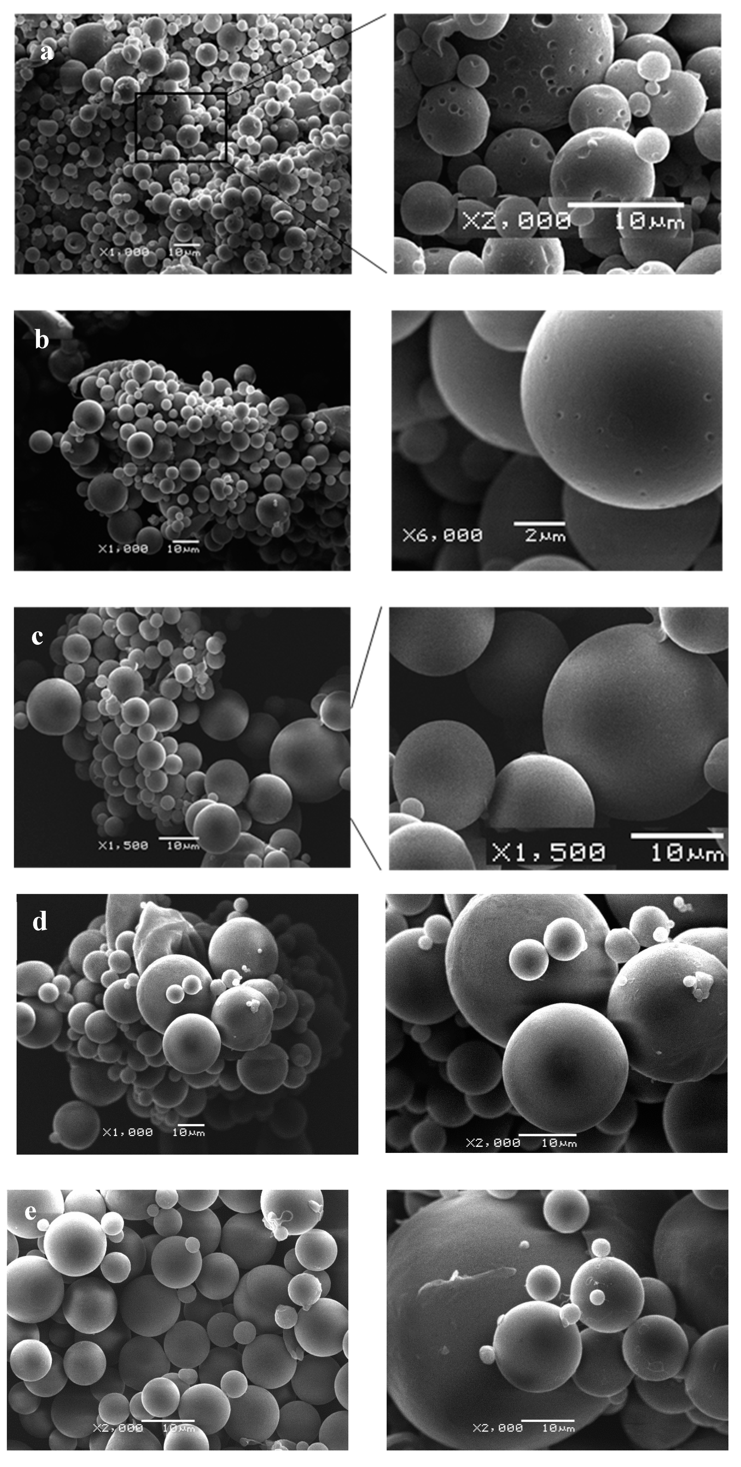 Pharmaceutics 11 00249 g002